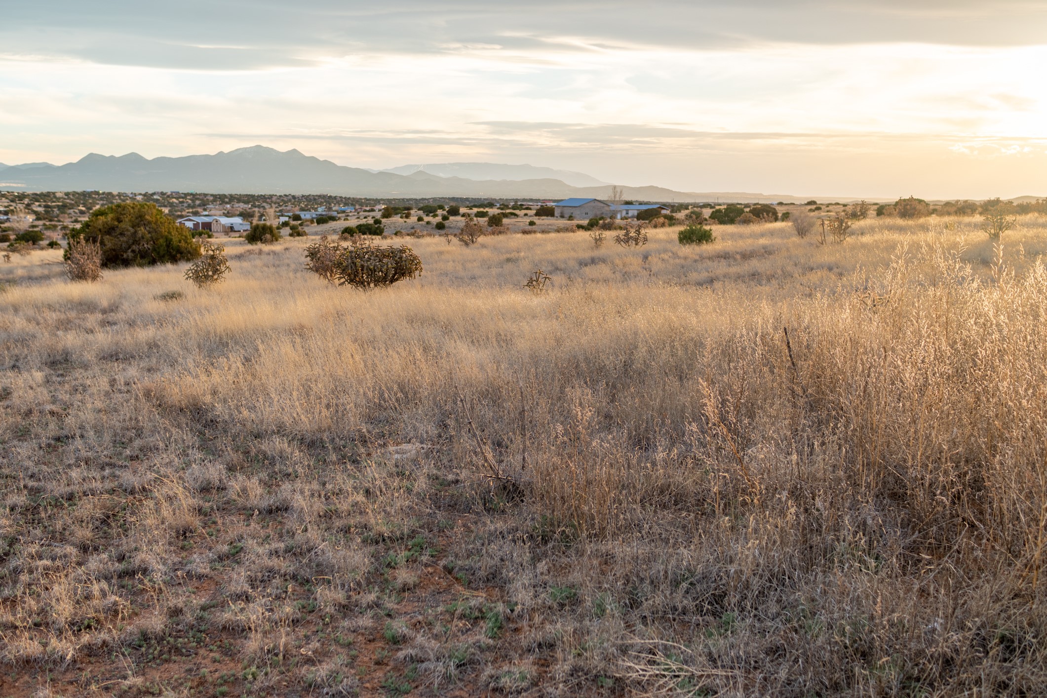 Vacant grassy parcel with scattered shrubs and distant mountain views at golden hour.
