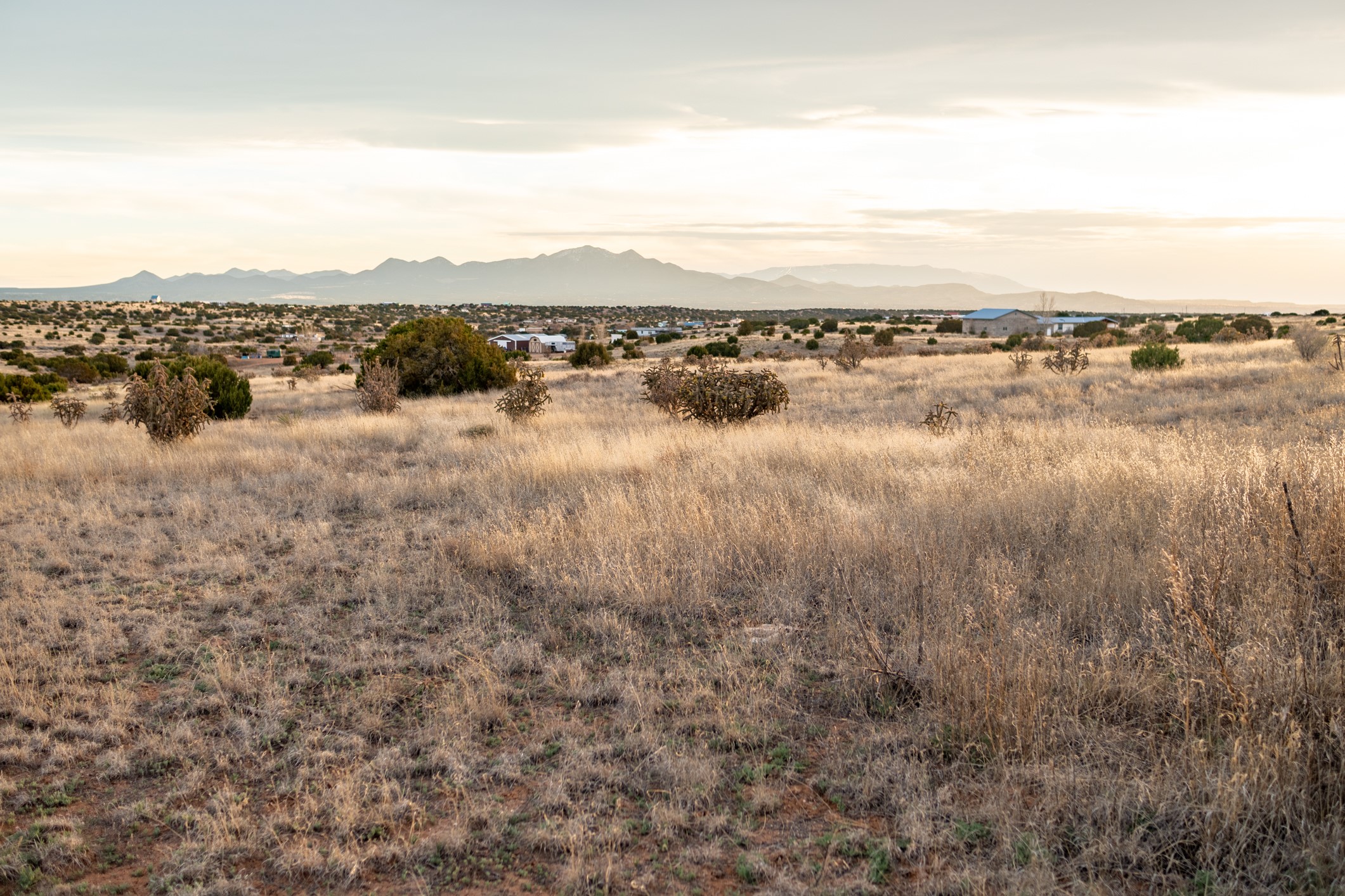 Open grassland dotted with shrubs, with homes and distant mountains on the horizon.
