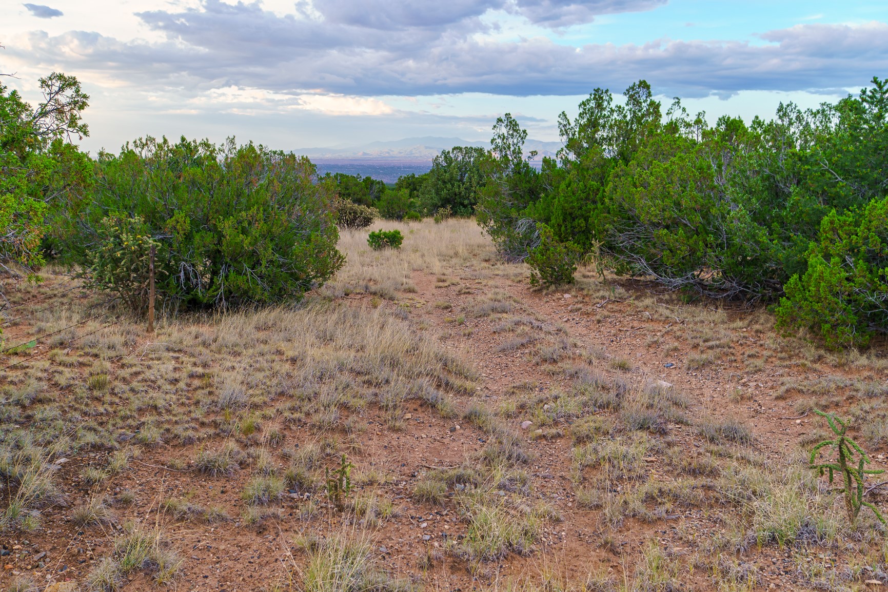 Rocky, scrub-covered lot with a dirt track leading toward distant mountains.
