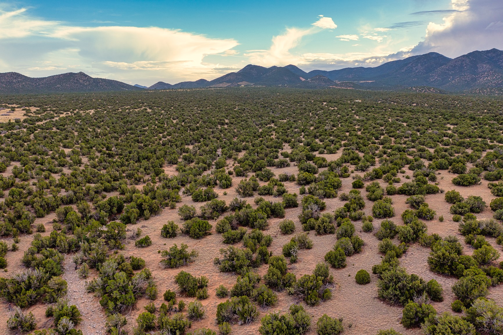 Aerial view of scrub-covered land with a mountain range on the horizon.
