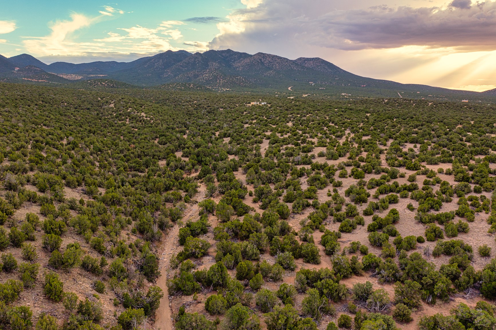 Aerial view of scrub-covered land with a dirt track and mountain range at golden hour.