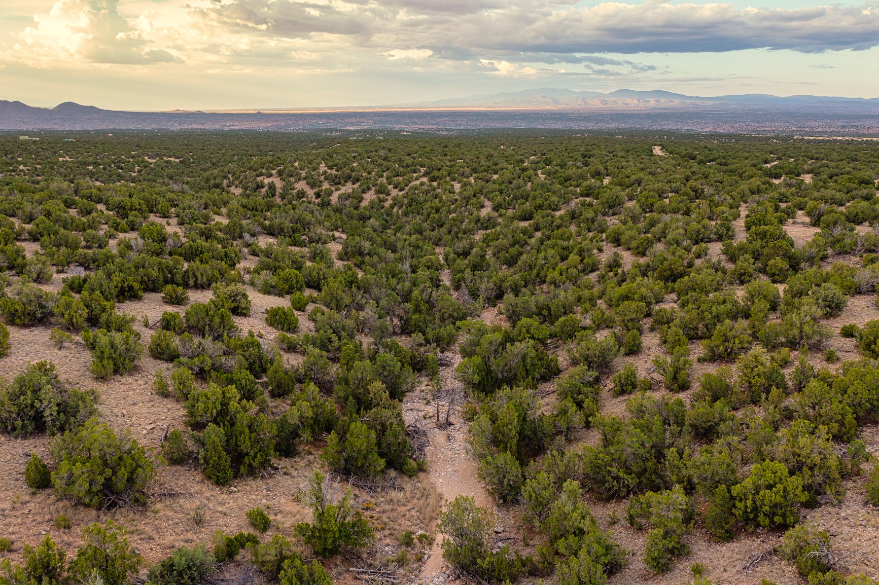 Aerial view of scrub-covered land with a dirt track and distant mountain range.