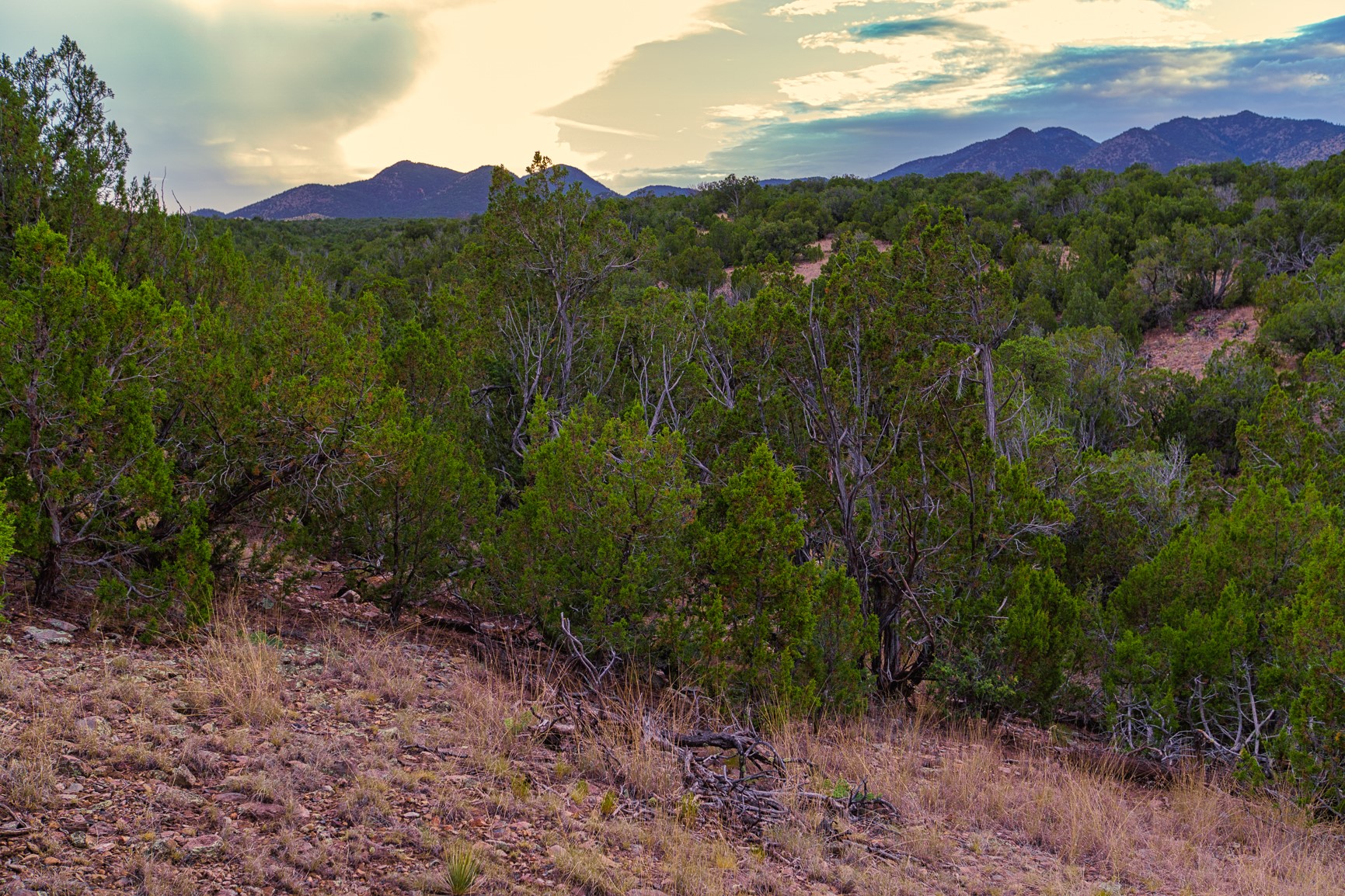 Rocky, juniper-covered land with distant mountains beneath a glowing sunset sky.