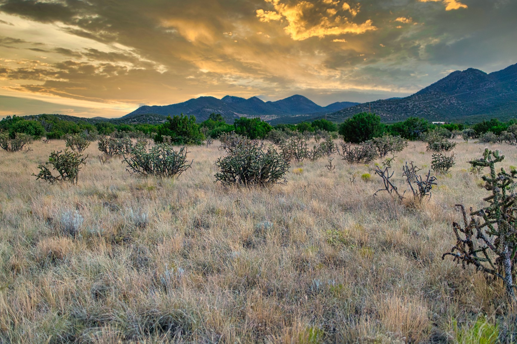 Open scrubland with dry grasses and shrubs, backed by mountains beneath a glowing evening sky.