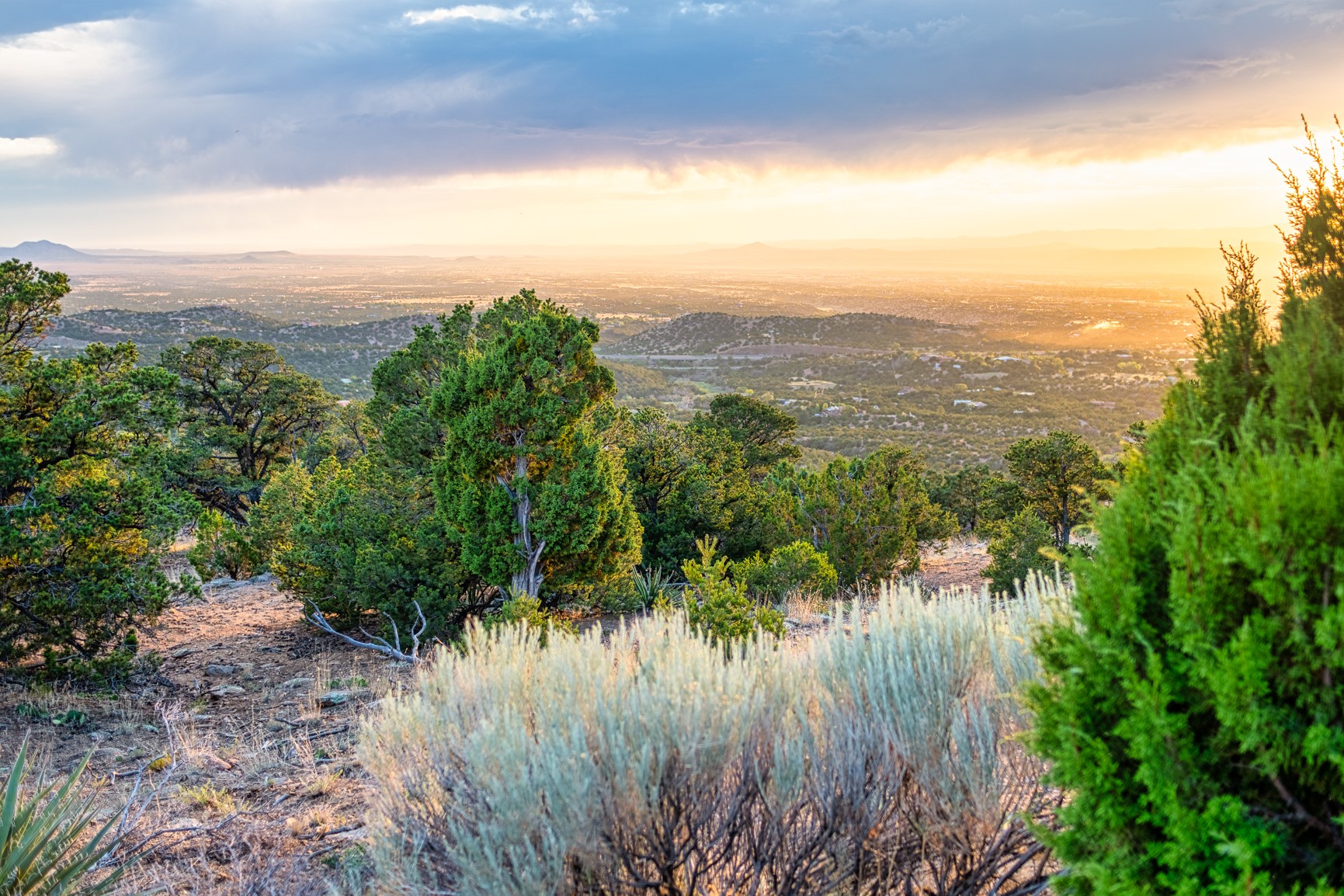 Hillside view across a Santa Fe valley toward distant mountains at sunset, framed by juniper and scrub.