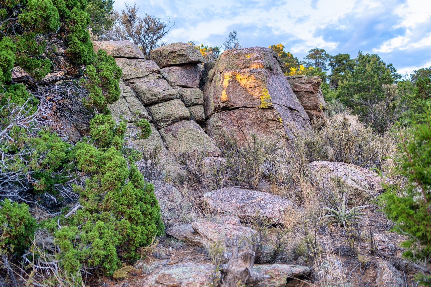 Weathered granite boulders among juniper and dry brush at 103 Coyote Mountain Road.