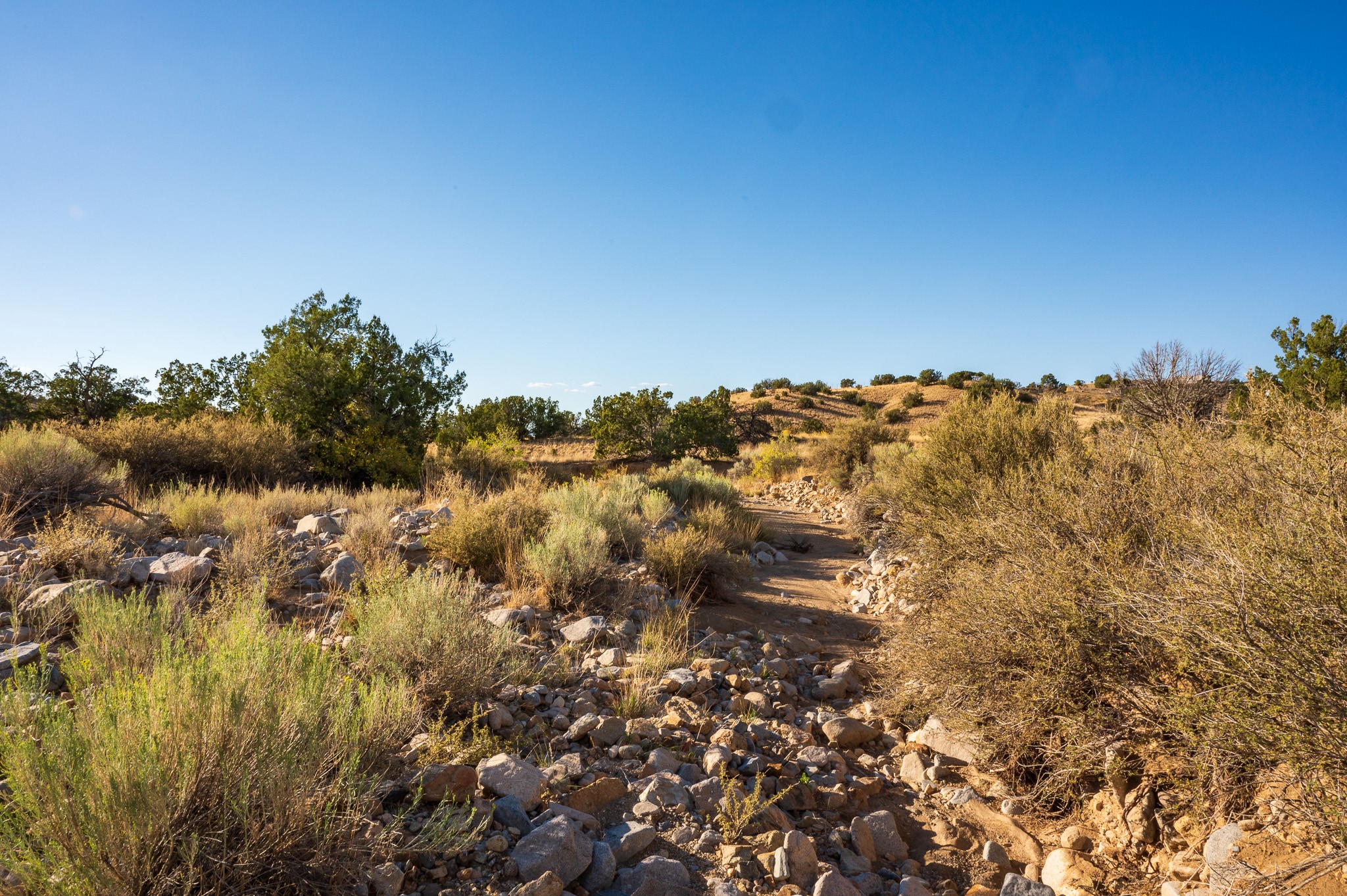 125 Paseo Sudeste