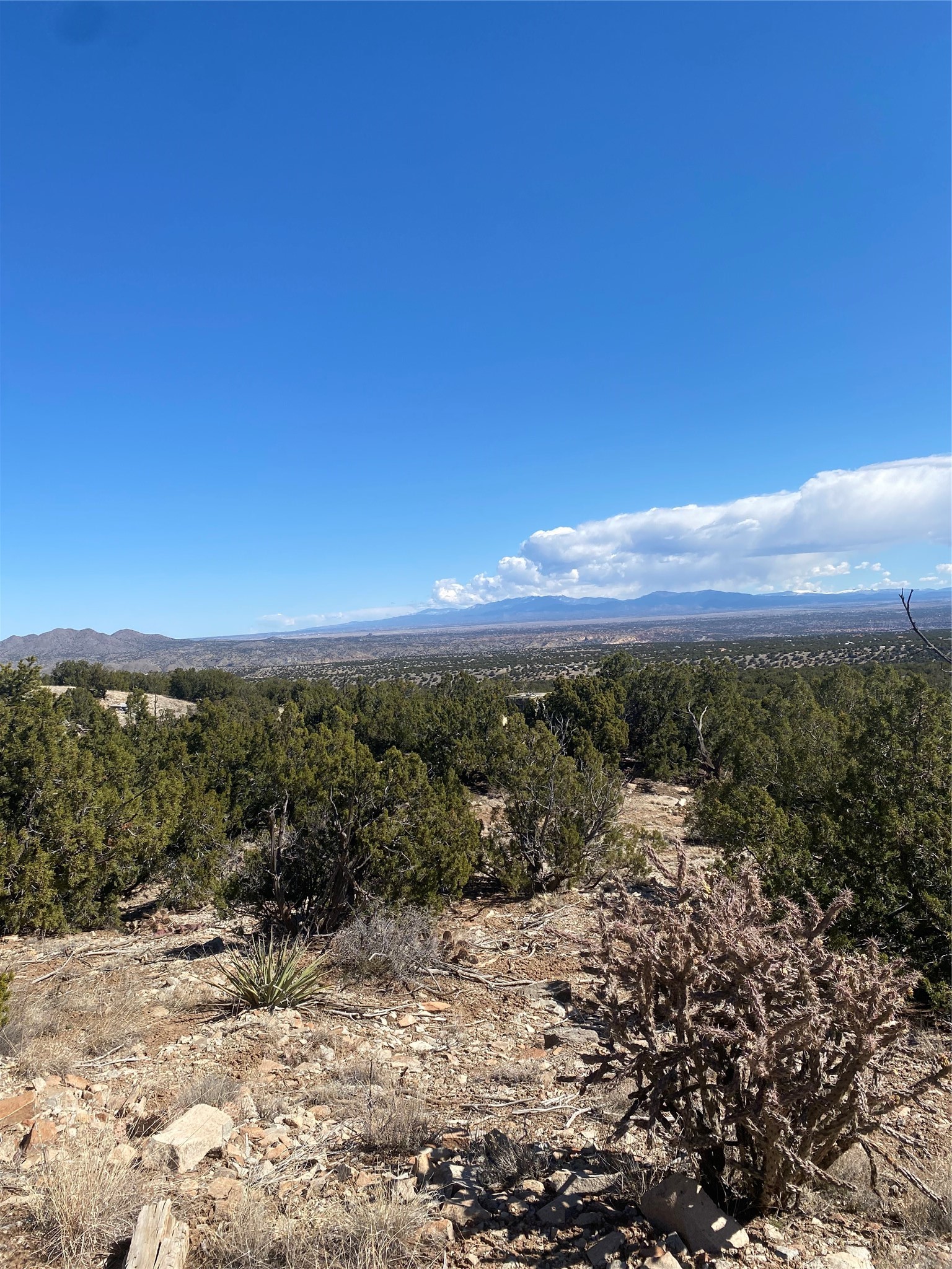 Rocky high-desert property with juniper trees and a wide view of distant mountains.