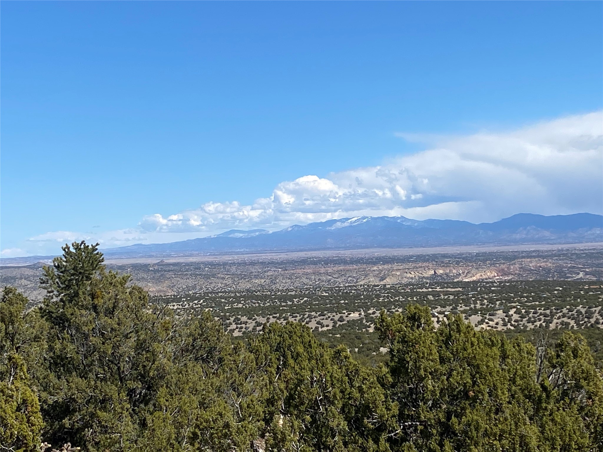 Mountain and high-desert valley view over scrubland from a wooded hillside.