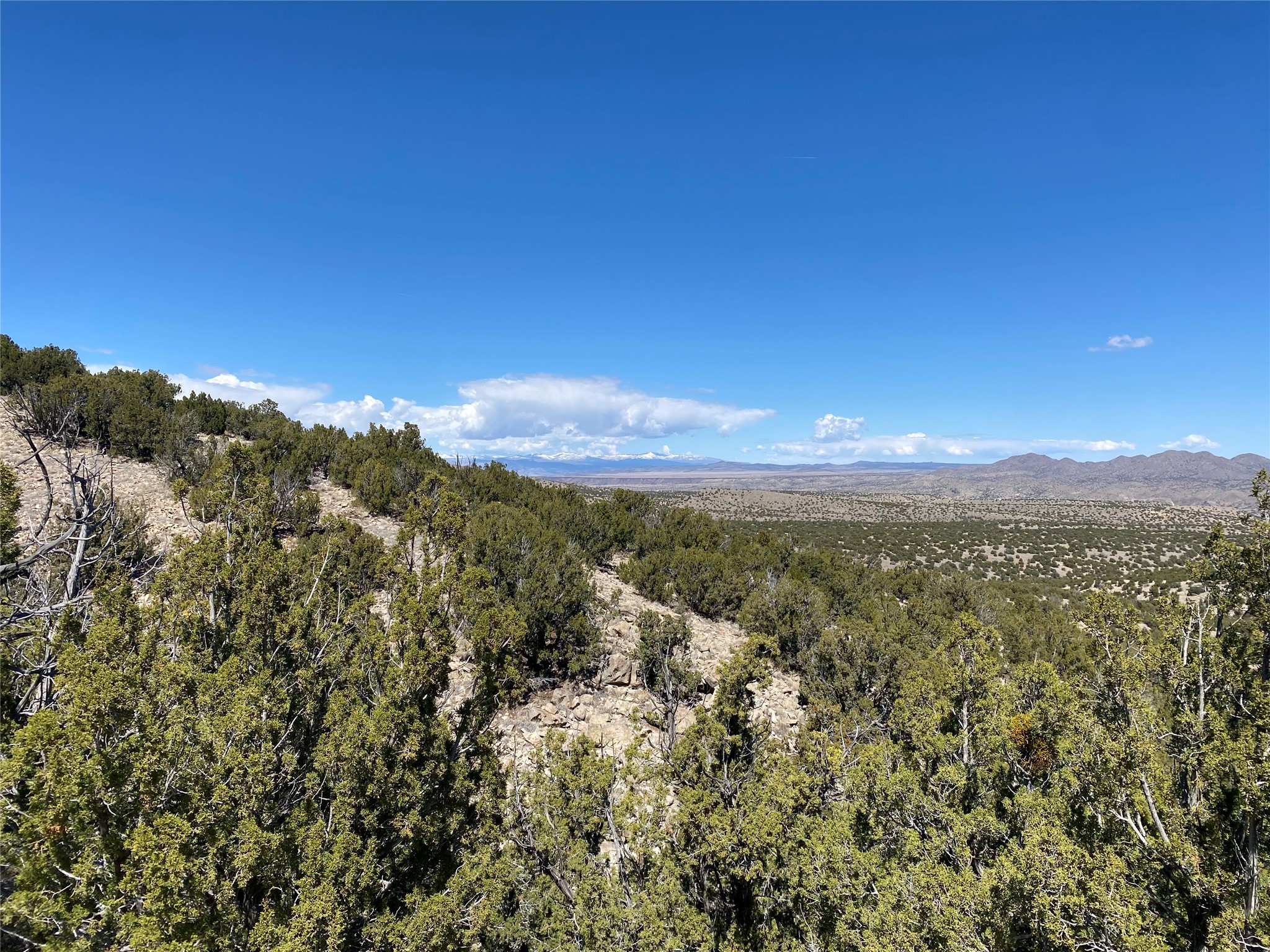 Rocky high-desert hillside with juniper trees overlooking a wide valley and distant mountains.