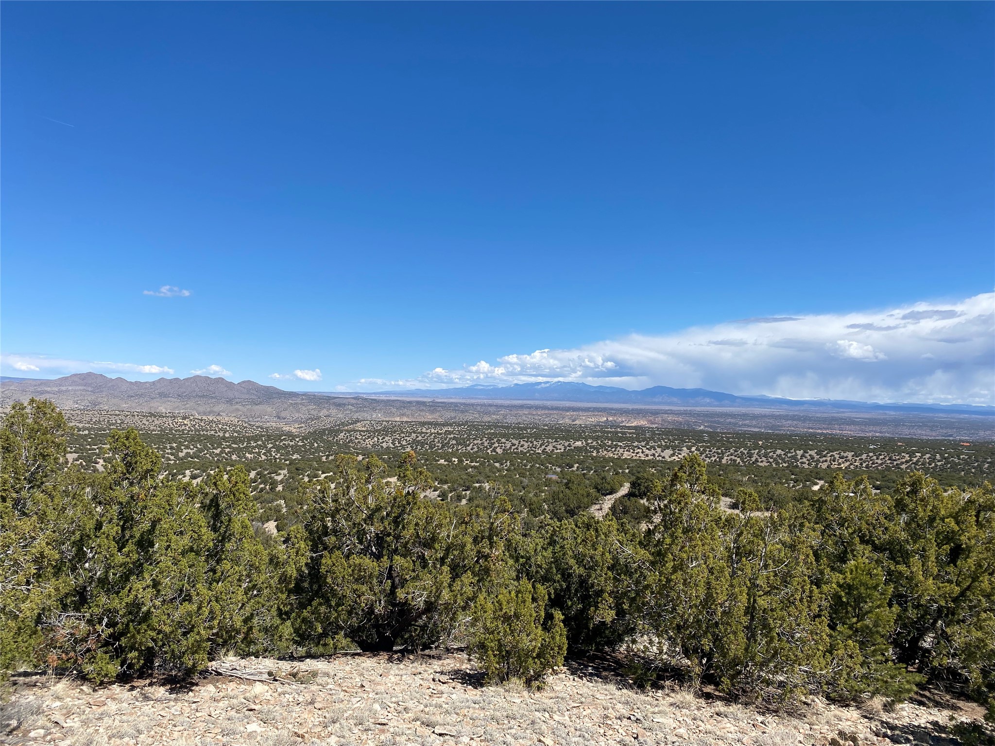 Expansive juniper-covered landscape with rocky foreground and distant mountain ranges under a blue sky.