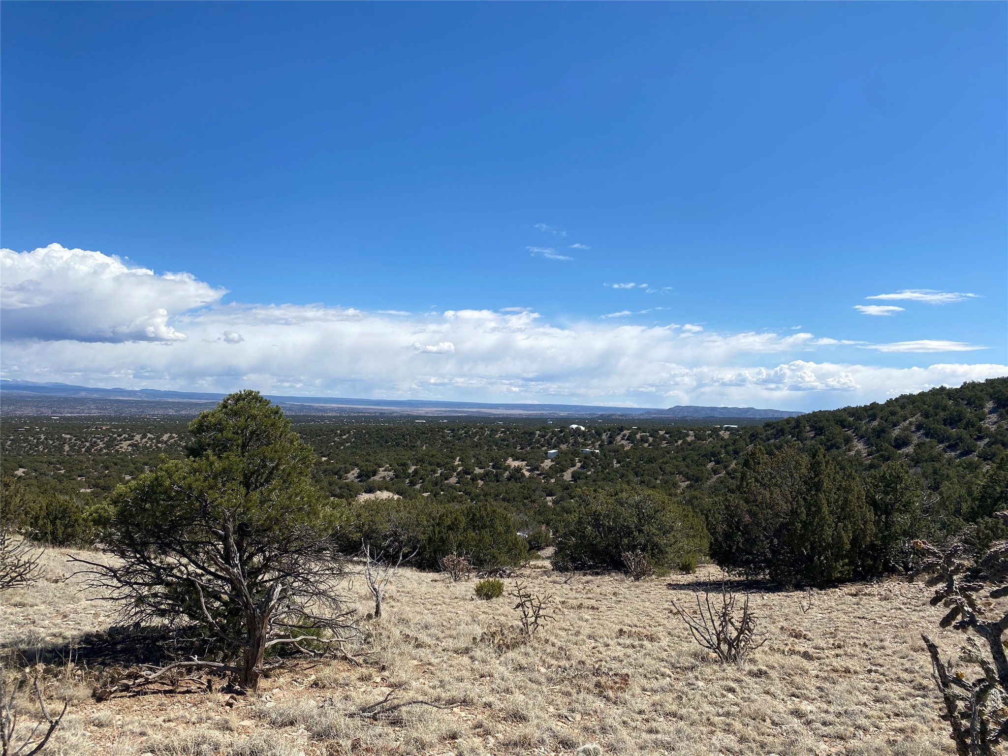 High-desert acreage with juniper trees, distant hills, and a broad cloud-filled sky.