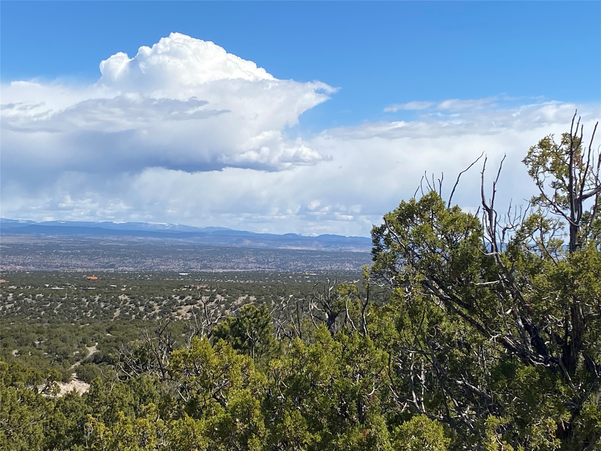 High-desert valley and distant mountains framed by juniper trees beneath large clouds.