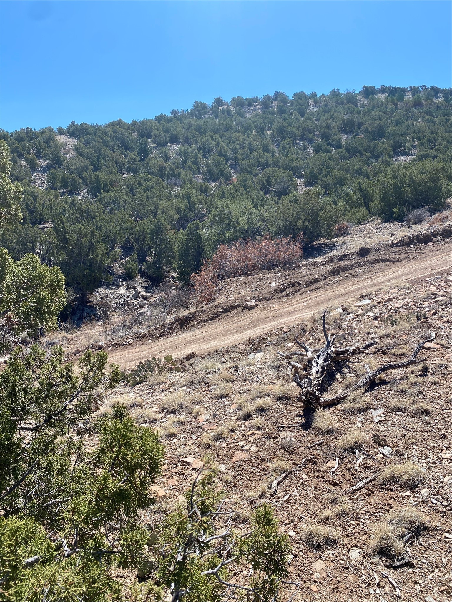 Rocky hillside property with a dirt road crossing the slope below a juniper-covered ridge.