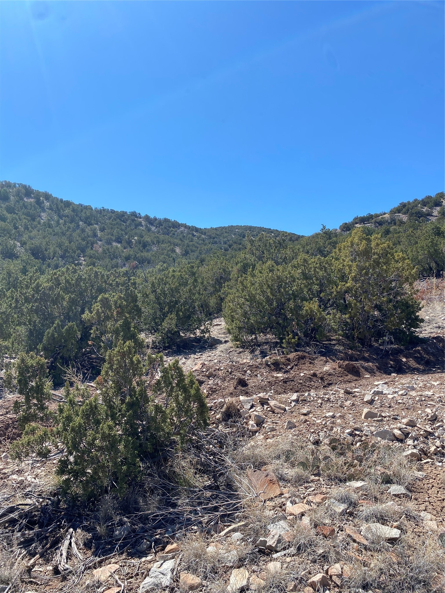 Rocky vacant hillside with evergreen shrubs and wooded hills beyond.