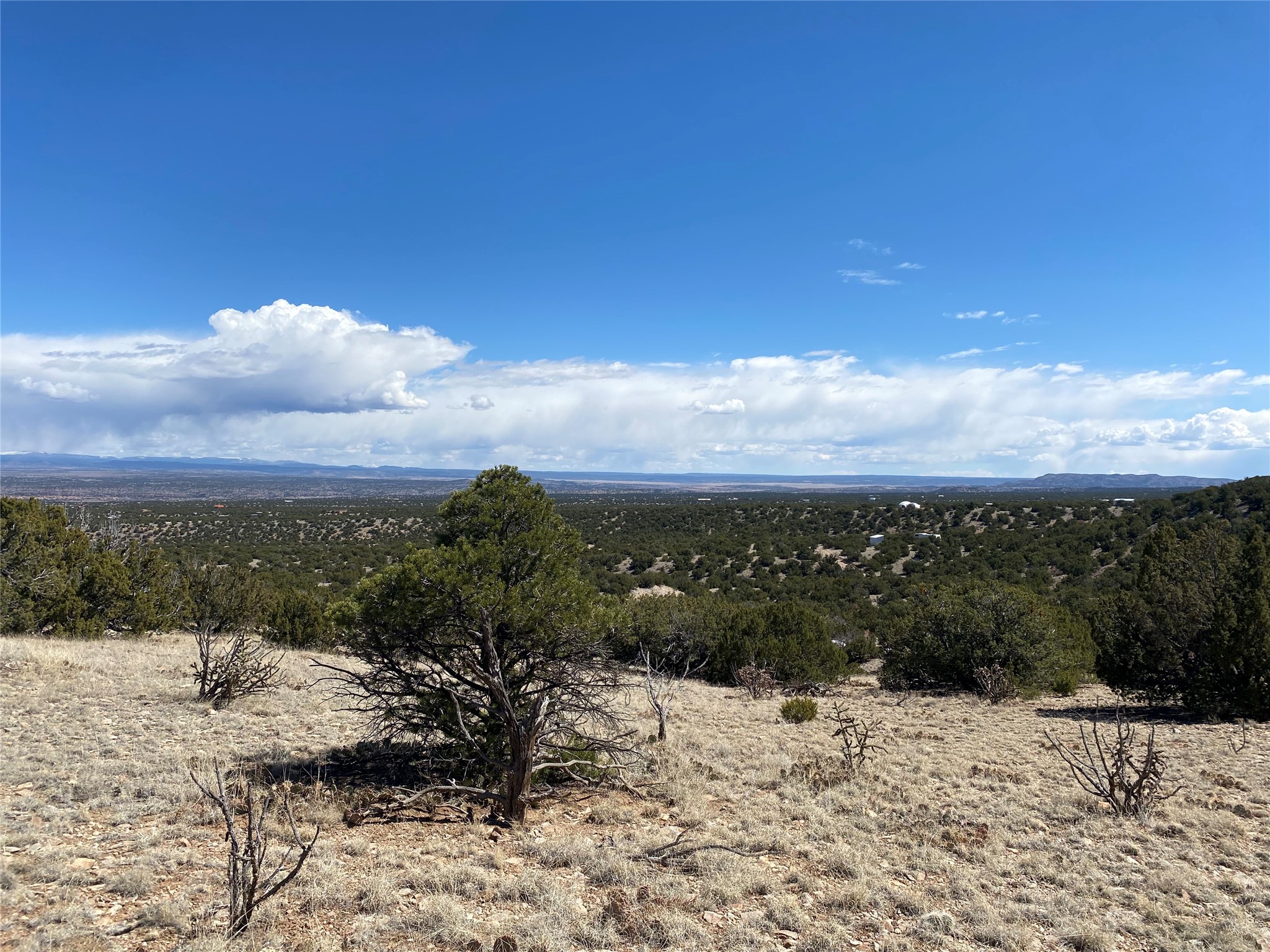 Rocky high-desert land with scattered junipers overlooking a broad valley and distant mountain ridges.