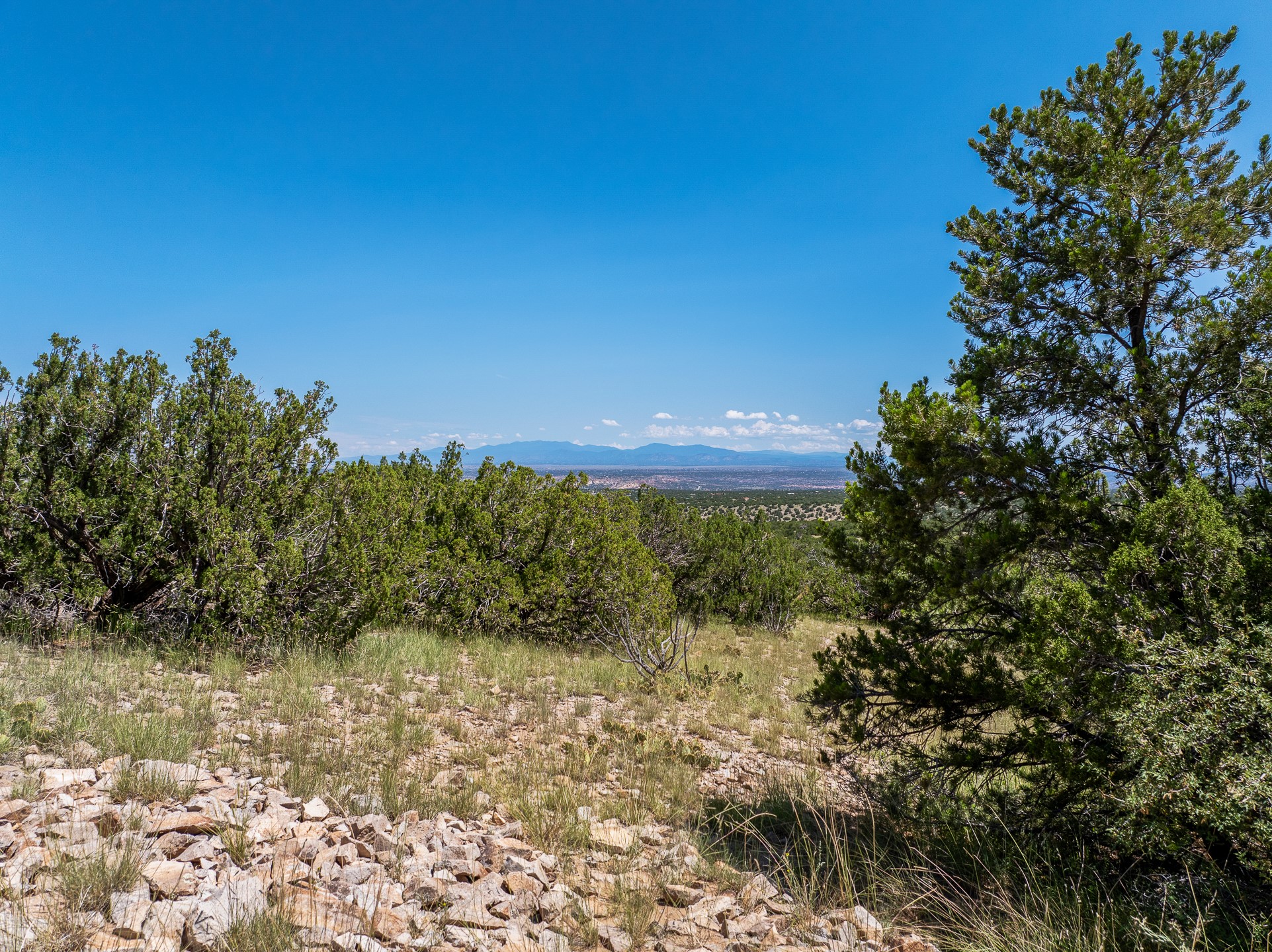 Rocky hillside with juniper and pine trees overlooking a distant valley and mountain range.