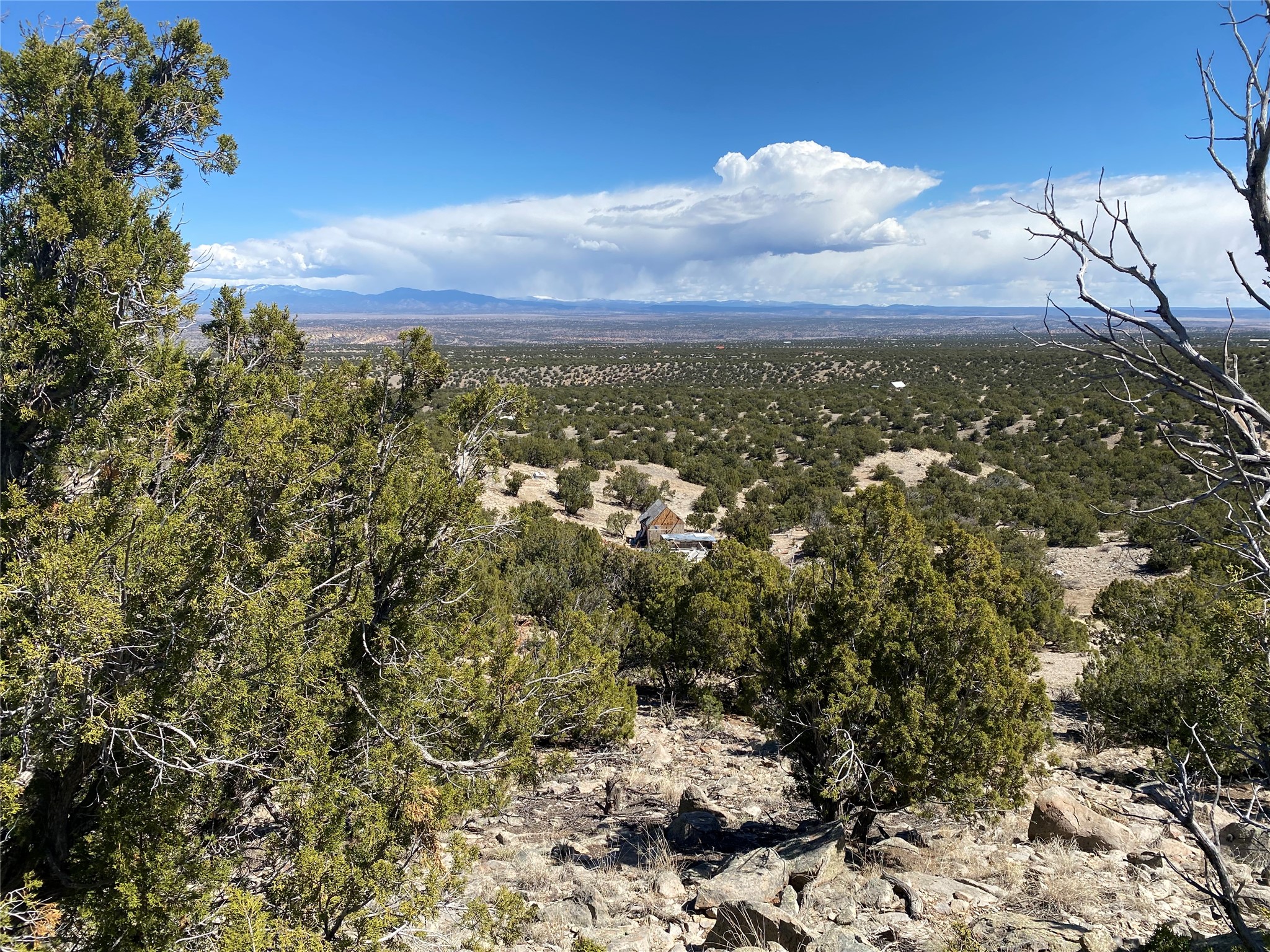 Rocky hillside overlooking juniper scrubland, distant mountains, and a small cabin.
