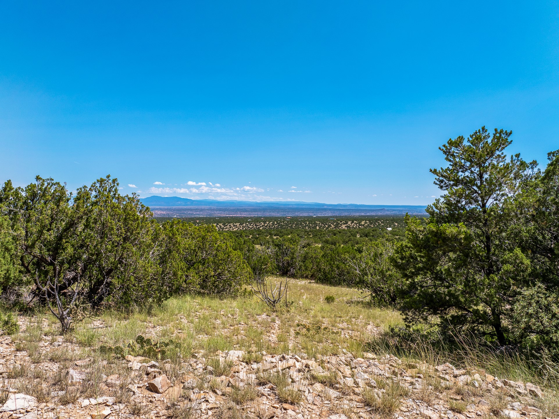 Rocky, juniper-covered hillside overlooking a wide valley and distant mountains.