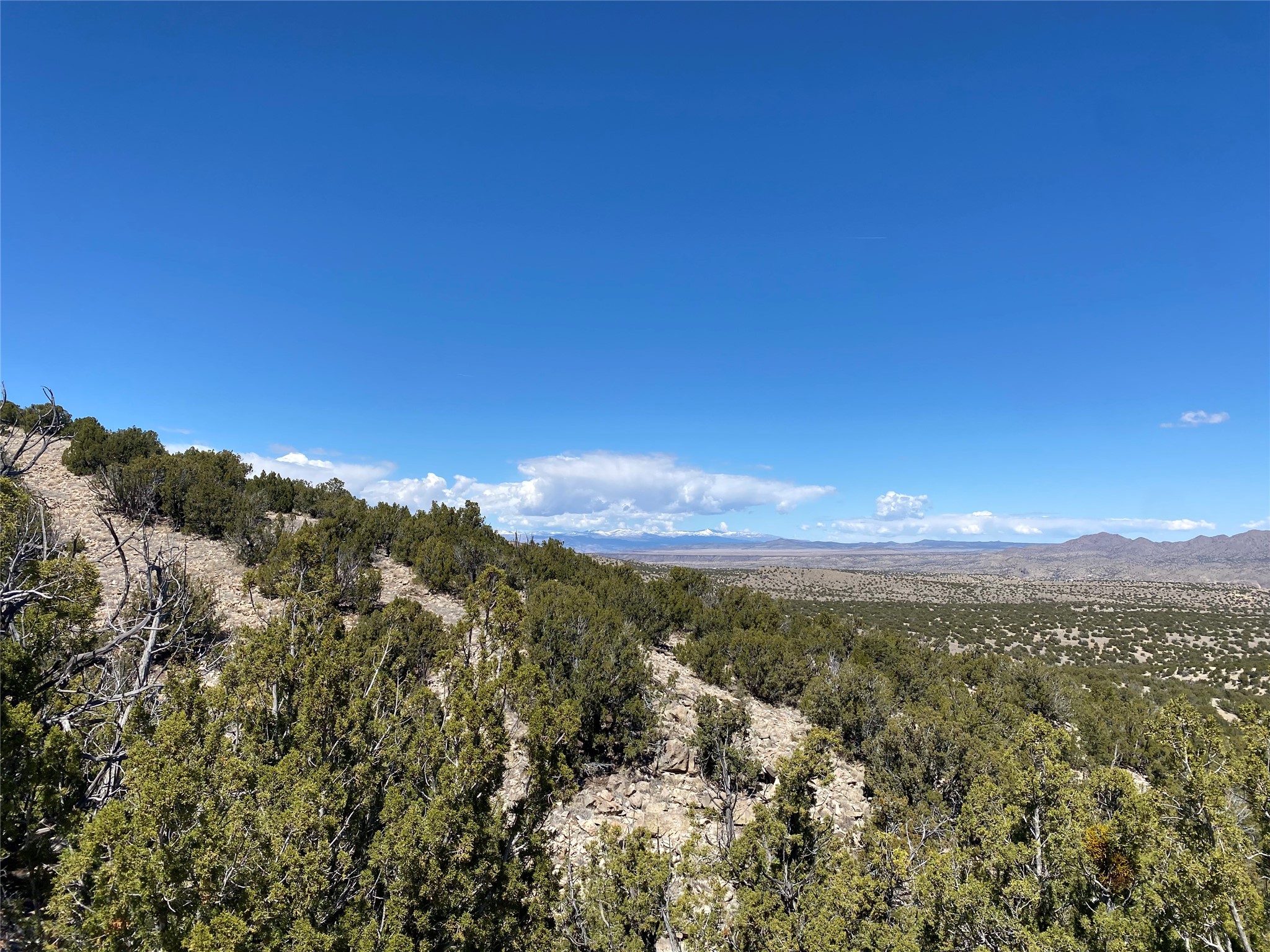 Rocky, juniper-covered hillside overlooking a wide desert valley and distant mountains.