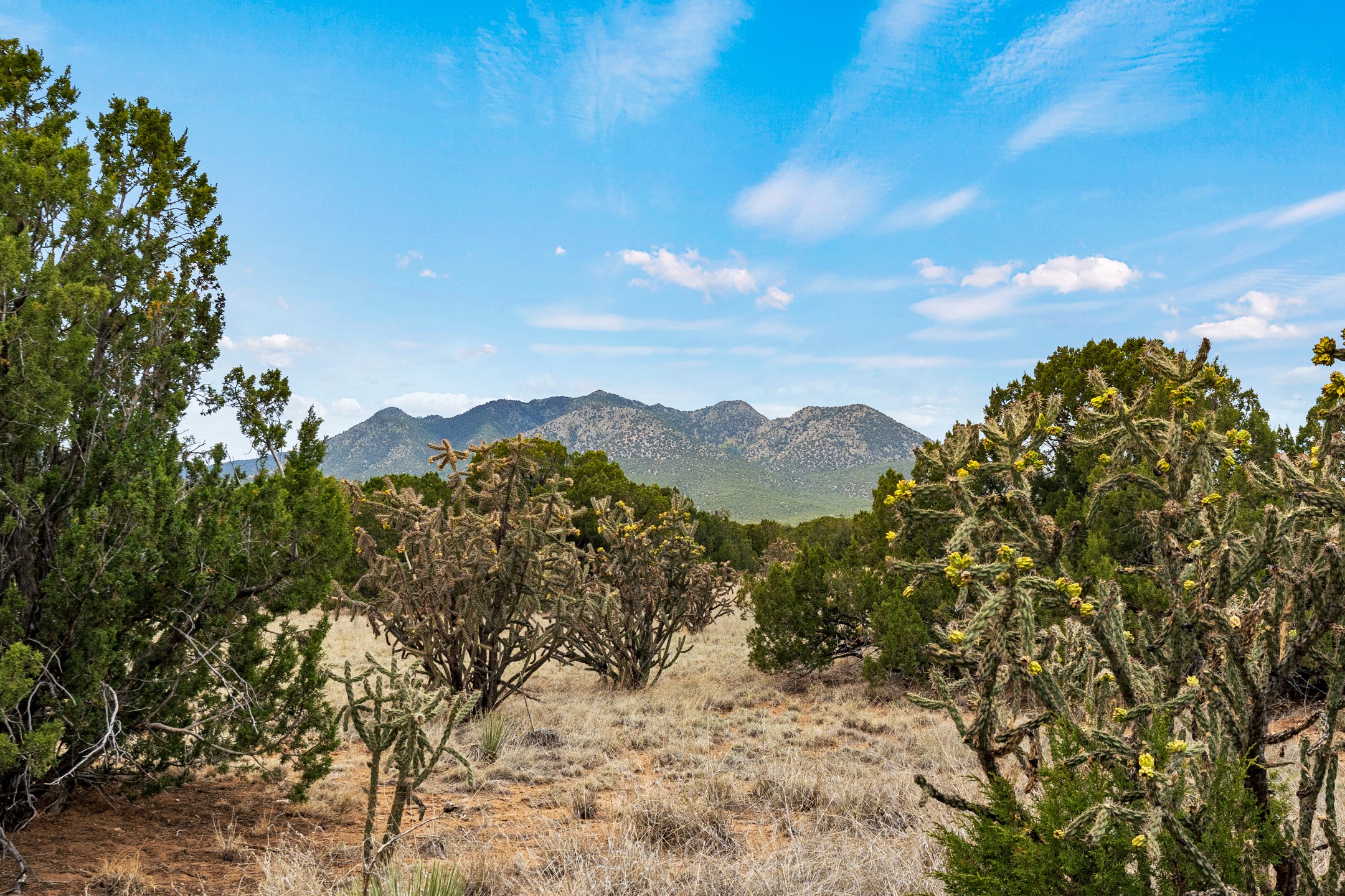 72 & 84 Silver Spur Trail