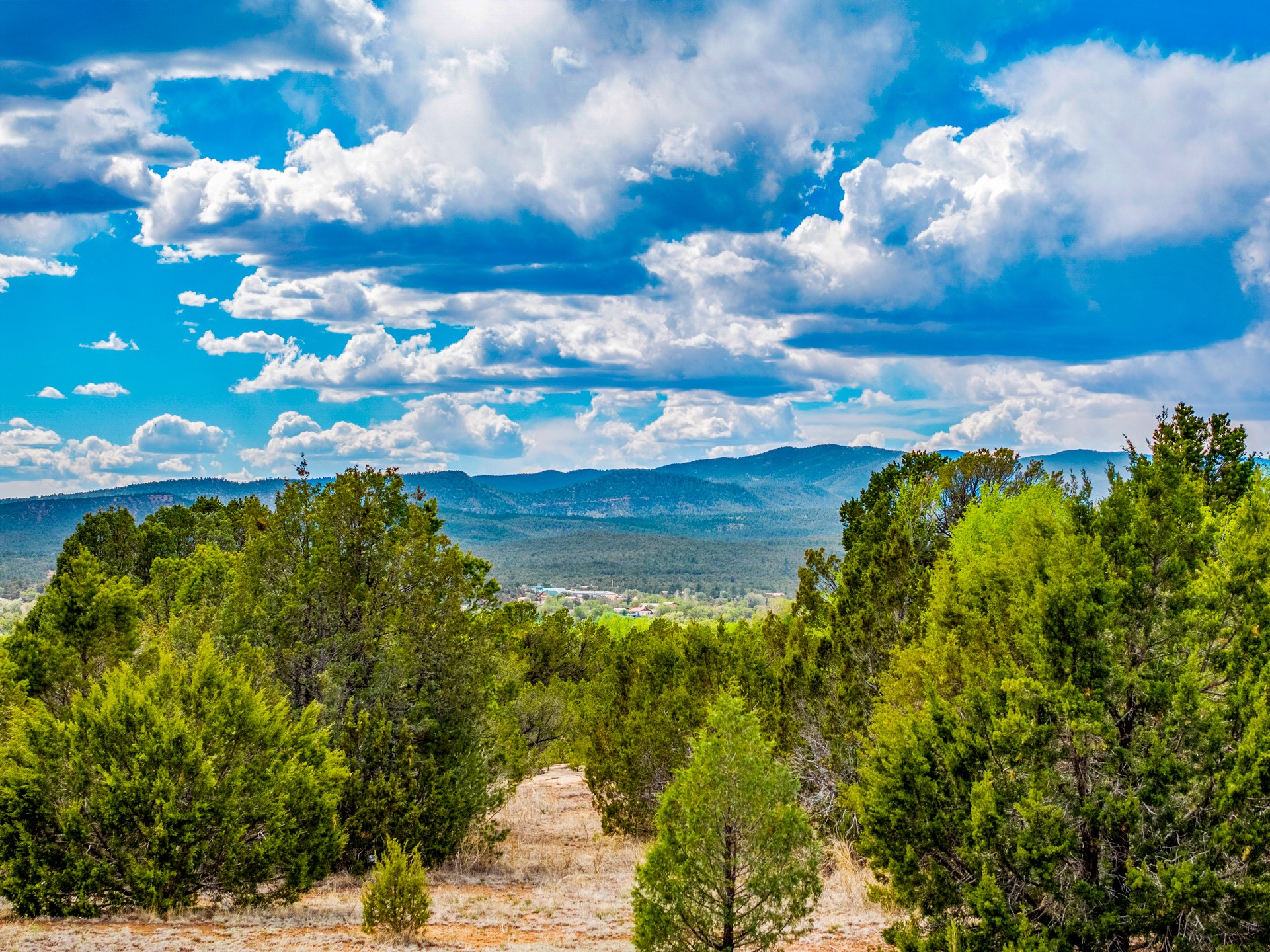 Wooded acreage with a dry track, distant mountain ridges, and a cloud-filled blue sky.