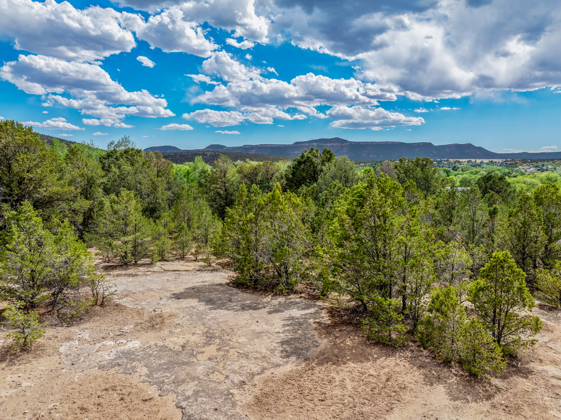 Vacant wooded land with a dirt clearing and distant mountain views.