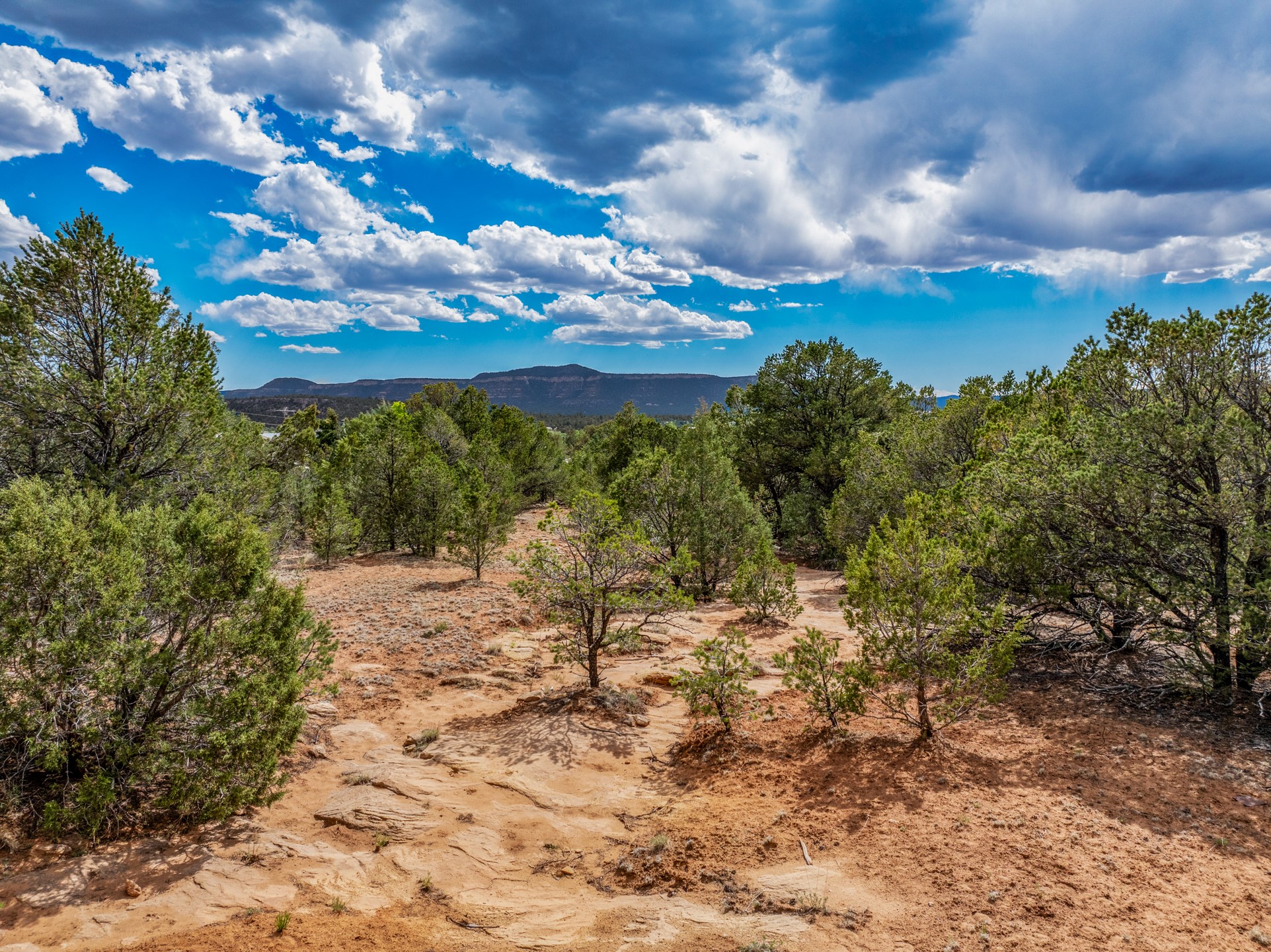 Rocky vacant land with scattered juniper trees and distant mountain ridges.