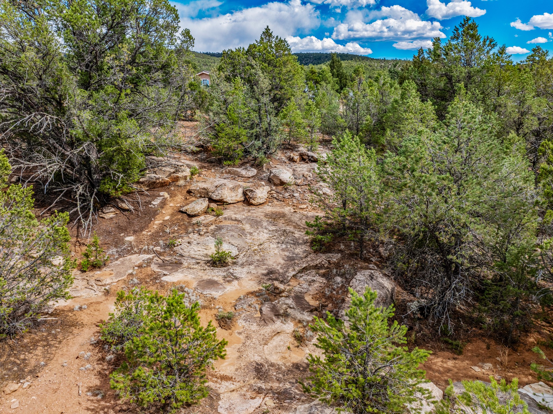 Rocky wooded land with evergreen trees, a partly hidden house, and a forested ridge beyond.