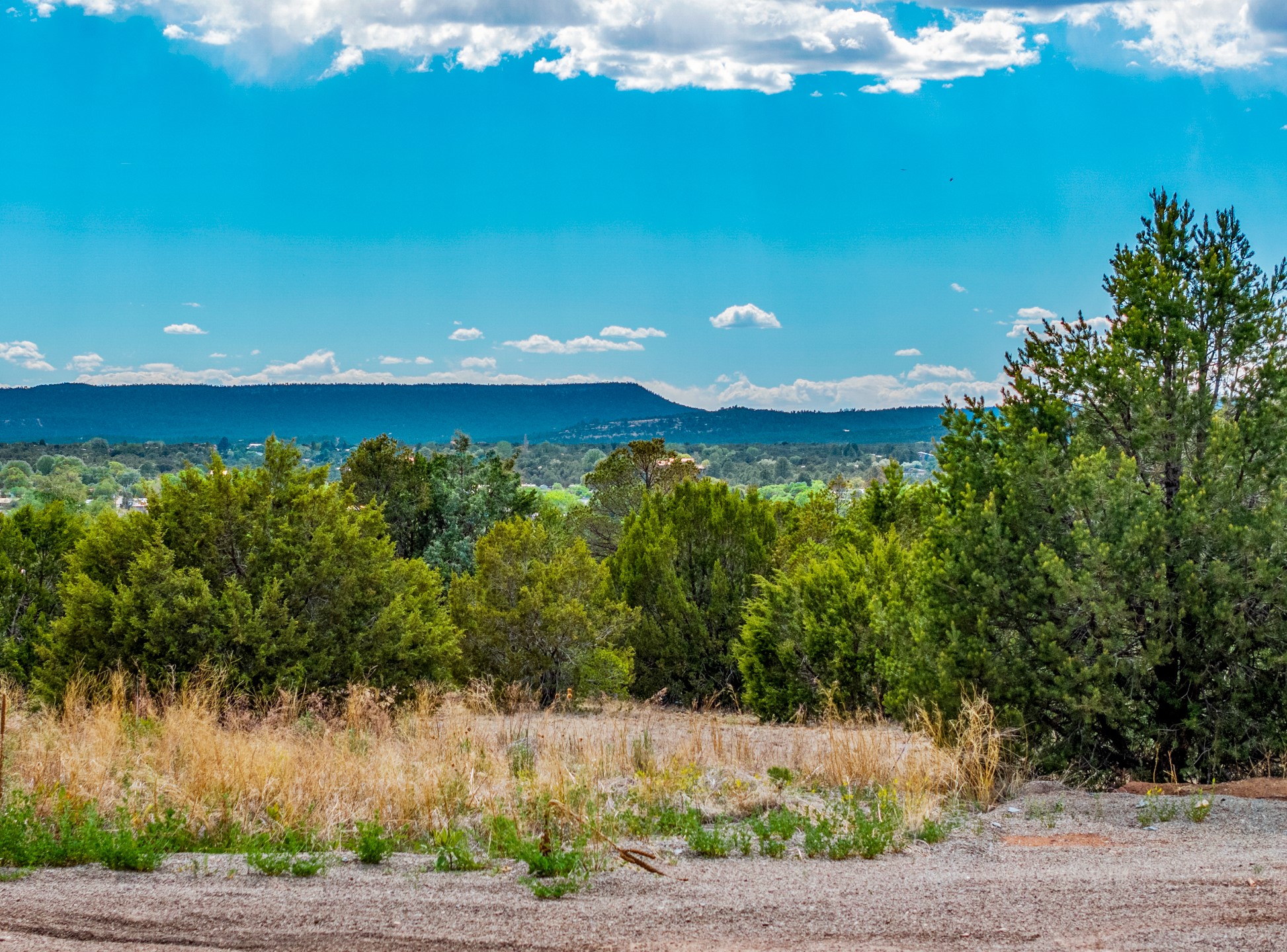 Vacant, brush-covered land with evergreen trees and distant hills under a bright blue sky.
