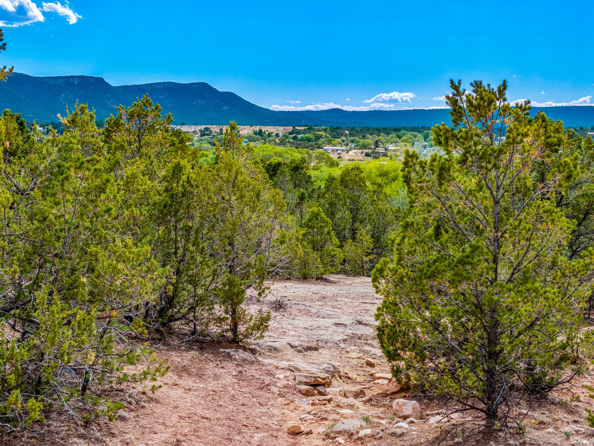 Rocky clearing among pine trees, overlooking a valley and distant mountains.