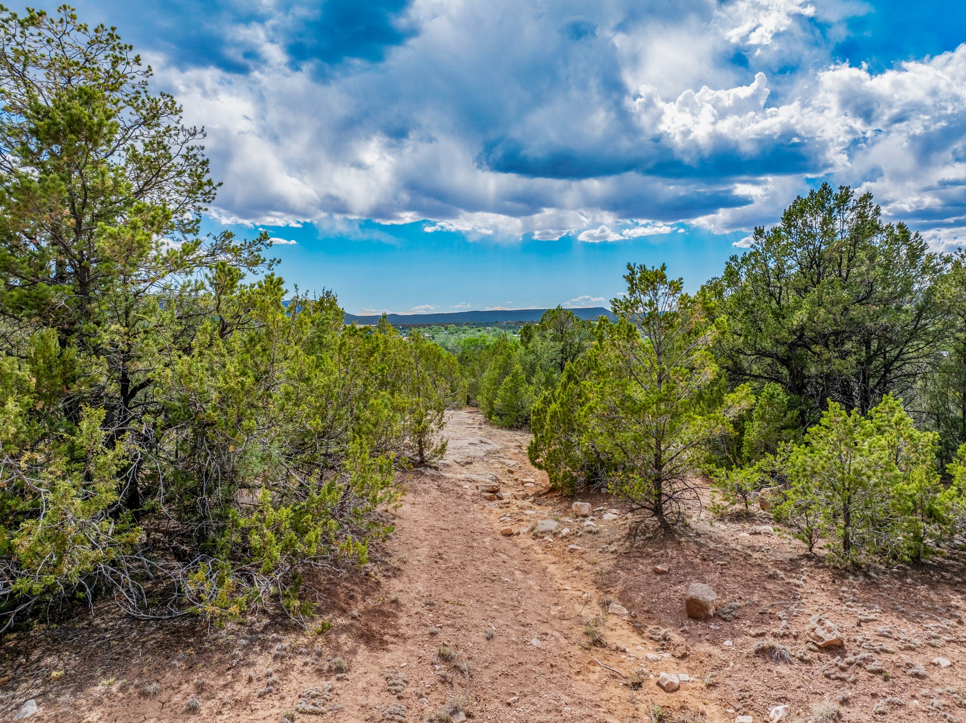 Rocky dirt path through juniper trees toward distant hills beneath a cloud-filled sky.