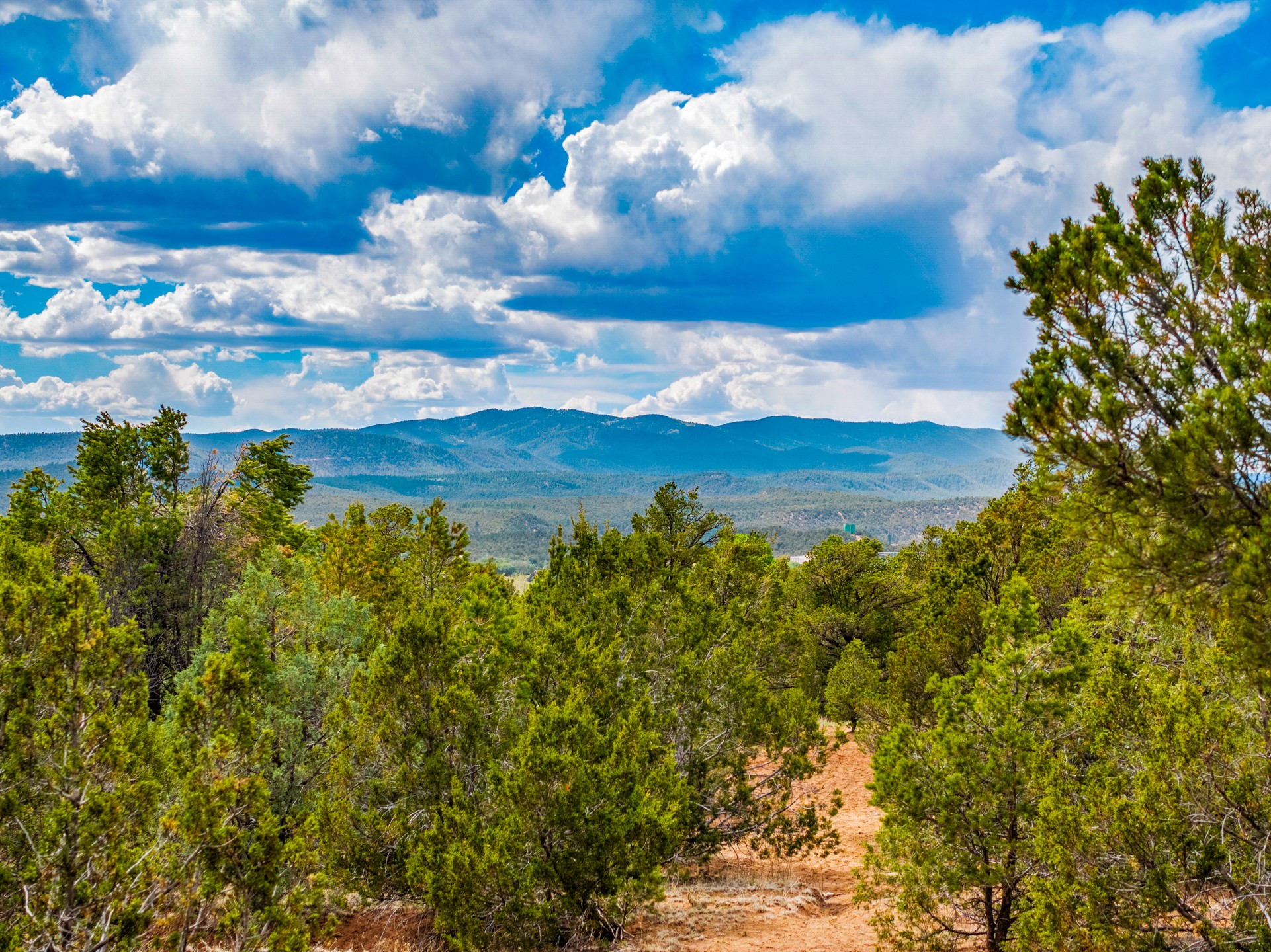 Wooded acreage with a sandy clearing and distant forested mountain ridges.