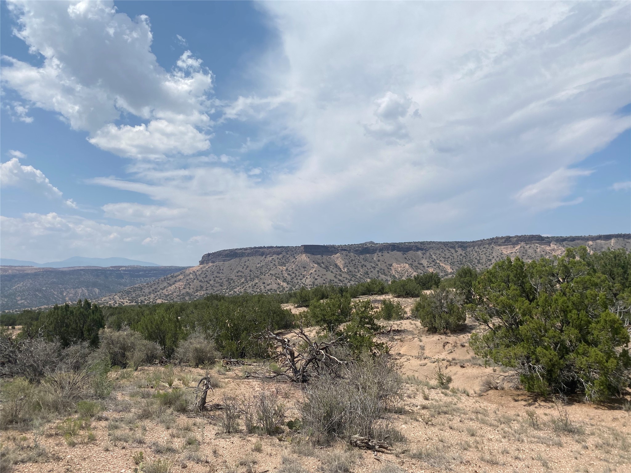 High-desert land with juniper and scrub in the foreground and rugged mesas beyond.