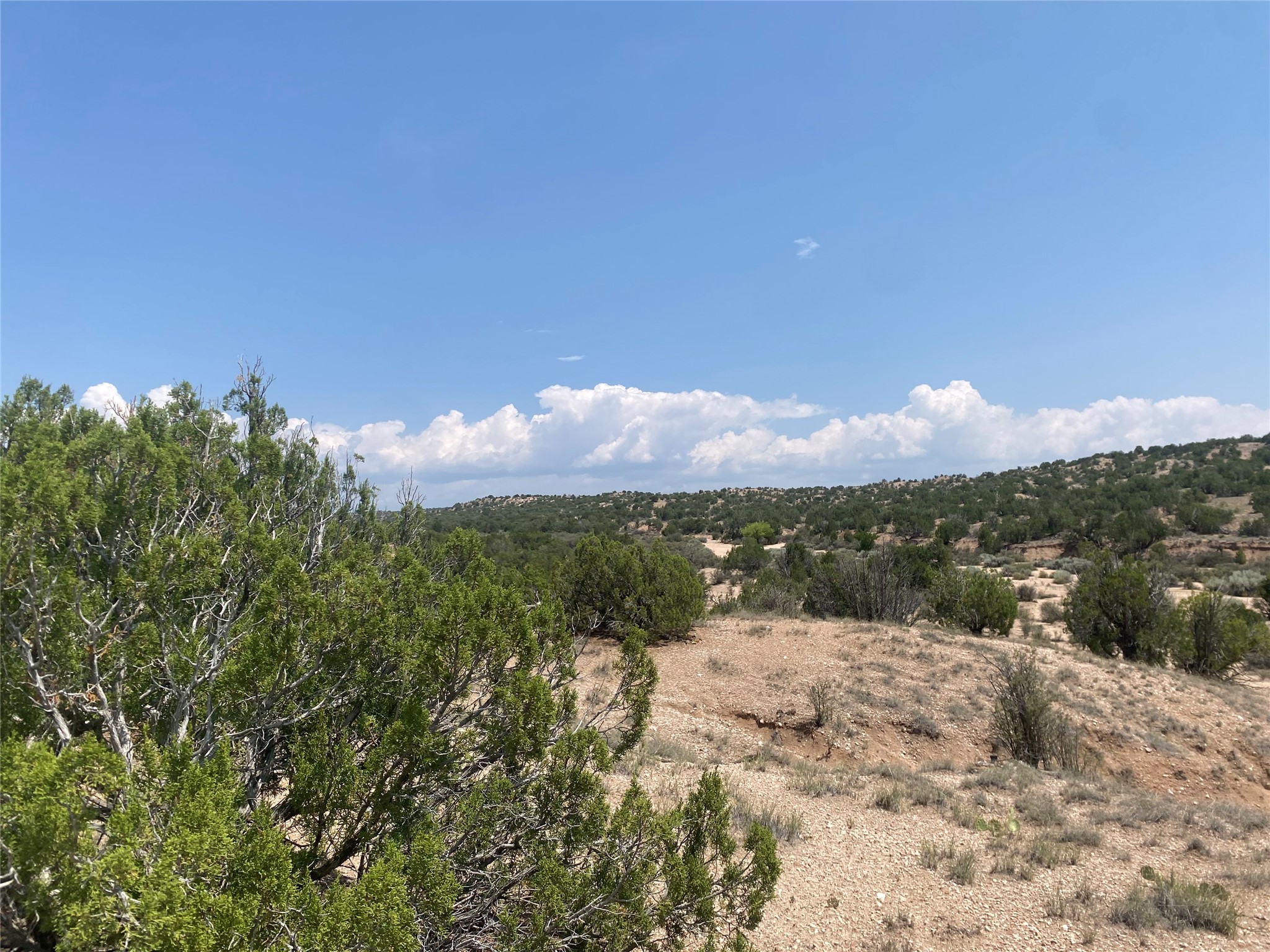 Vacant high-desert land with juniper shrubs, rocky ground, and rolling hills near Kalitaya Way.