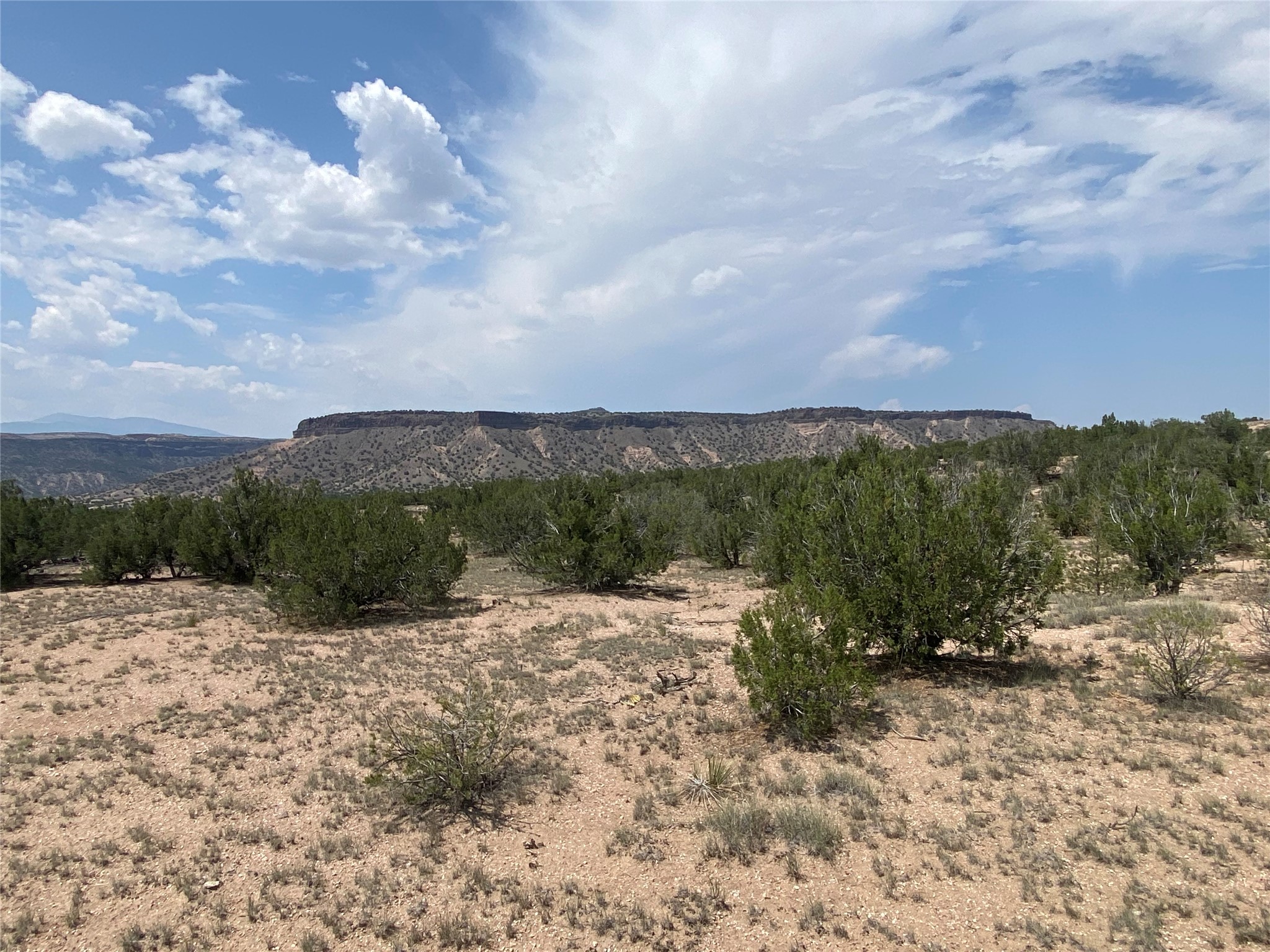 High-desert land with scattered juniper trees and a distant flat-topped mesa.