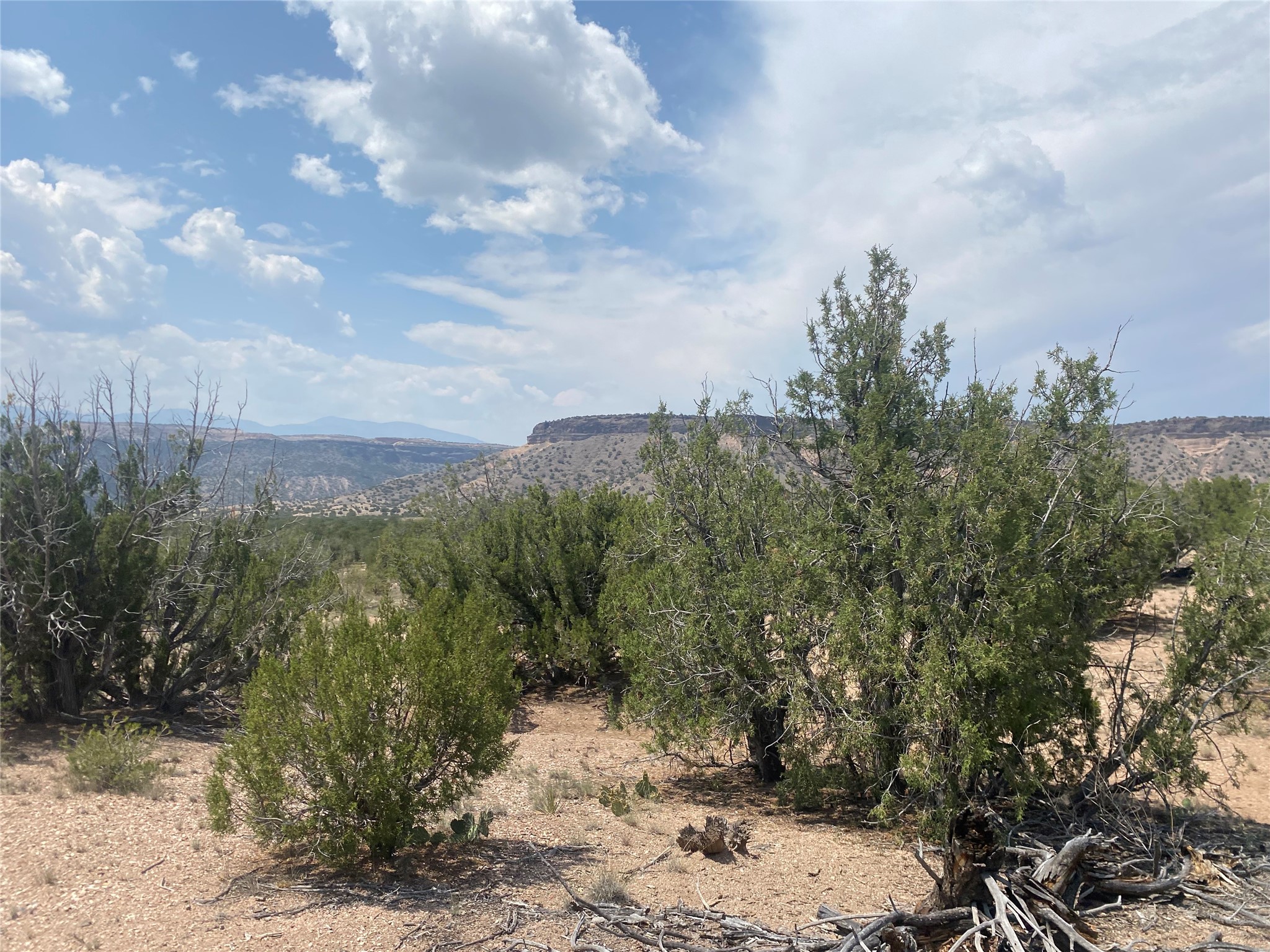Undeveloped high-desert land with juniper shrubs and distant mesas beneath a broad, cloudy sky.