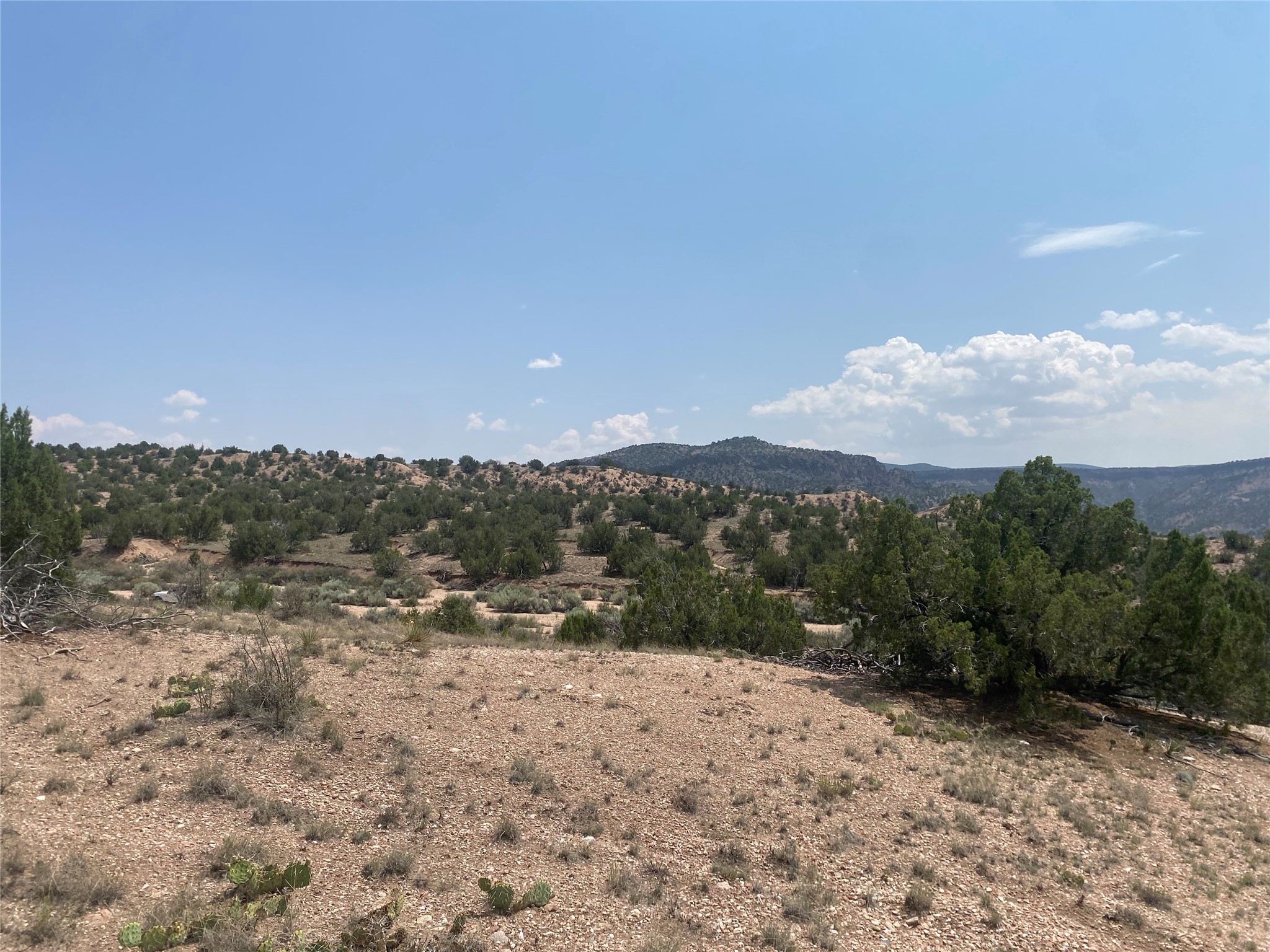 Rocky, scrub-covered vacant land with juniper trees and distant mountain ridges.