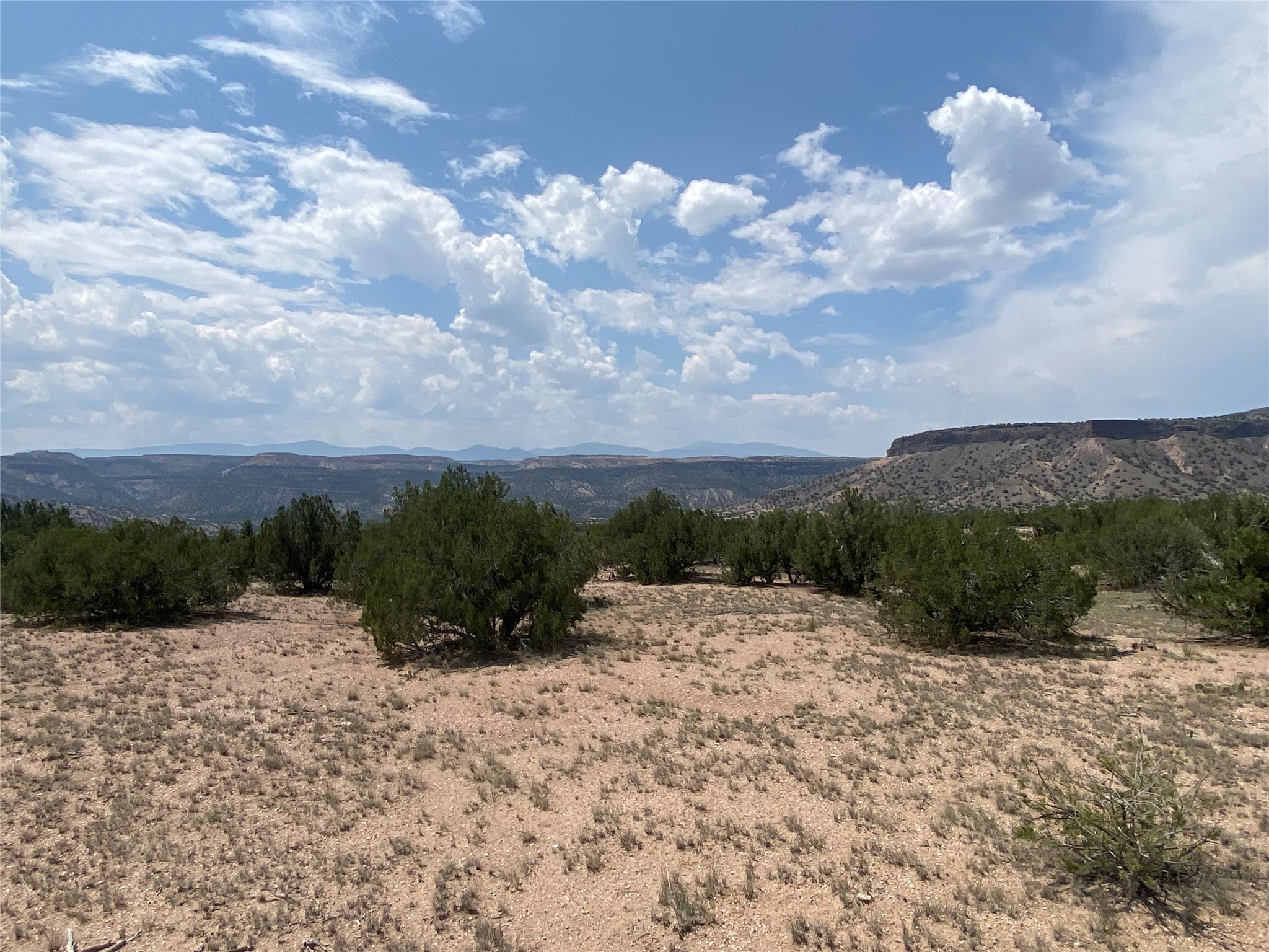 Vacant high-desert land with scattered junipers and distant mesas beneath a cloud-filled sky.