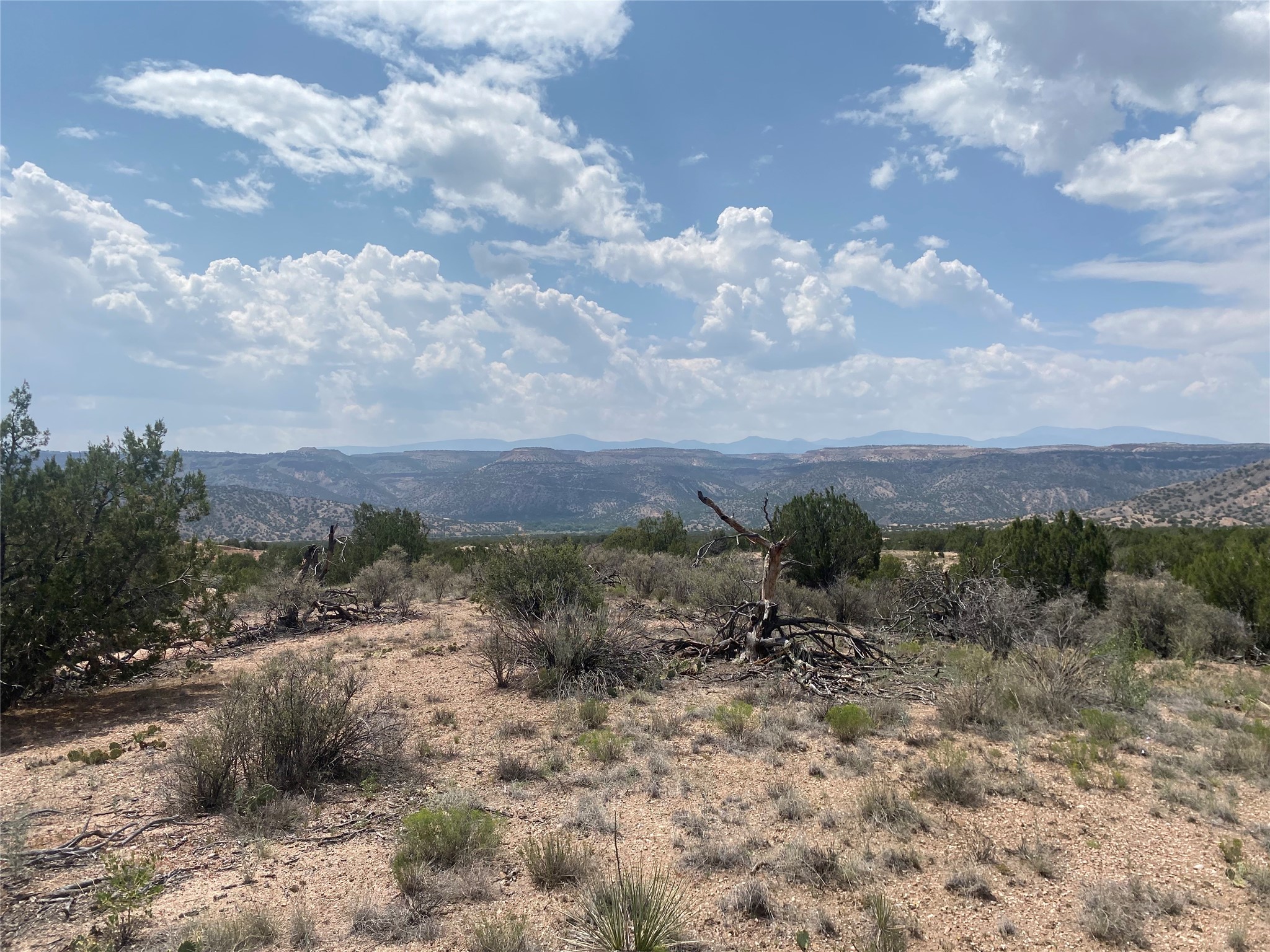 Scrub-covered land with juniper trees and distant mesas beneath a cloud-filled sky.