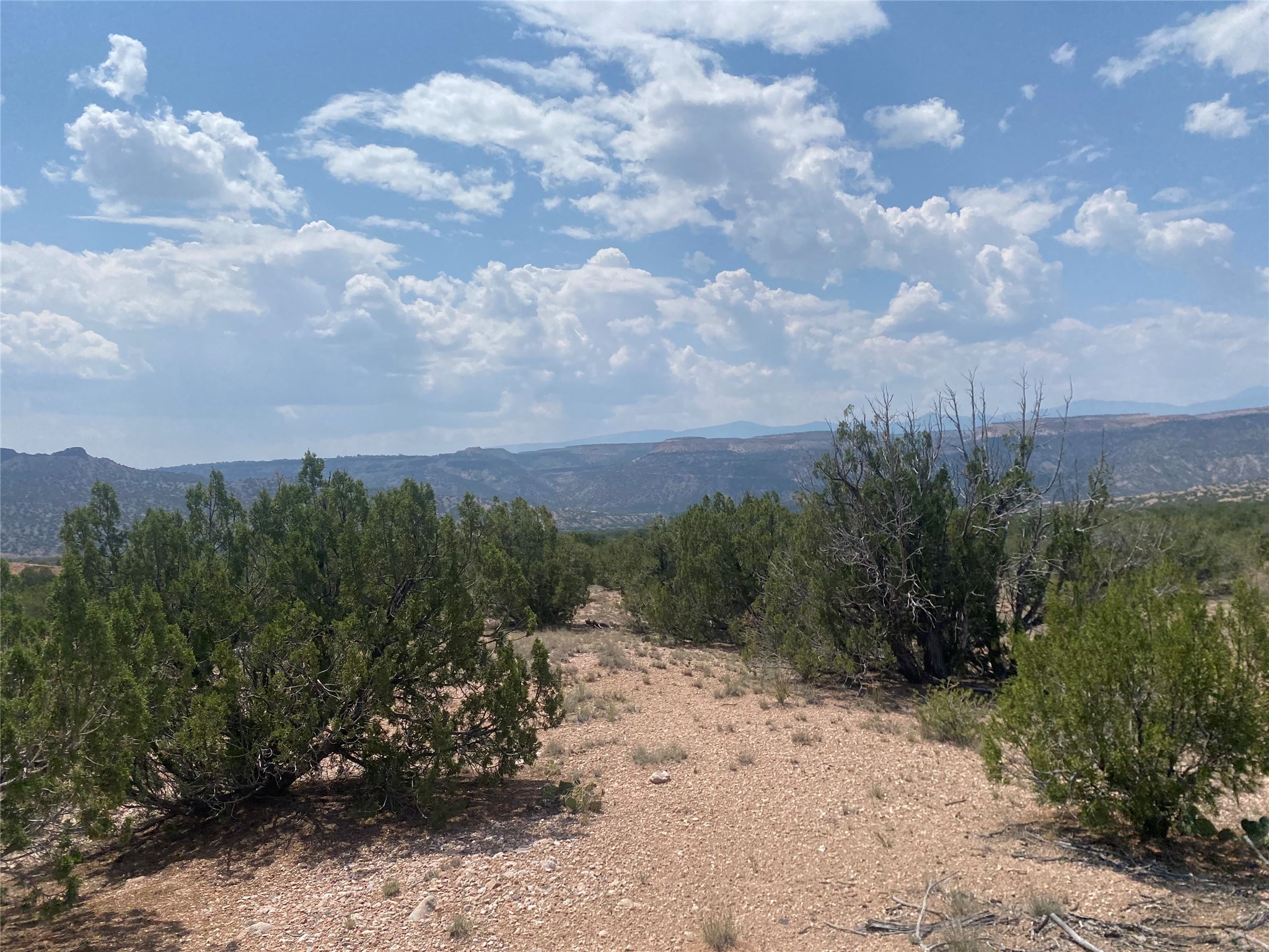 Vacant rocky land with juniper trees and distant mountain views under a cloud-filled sky.