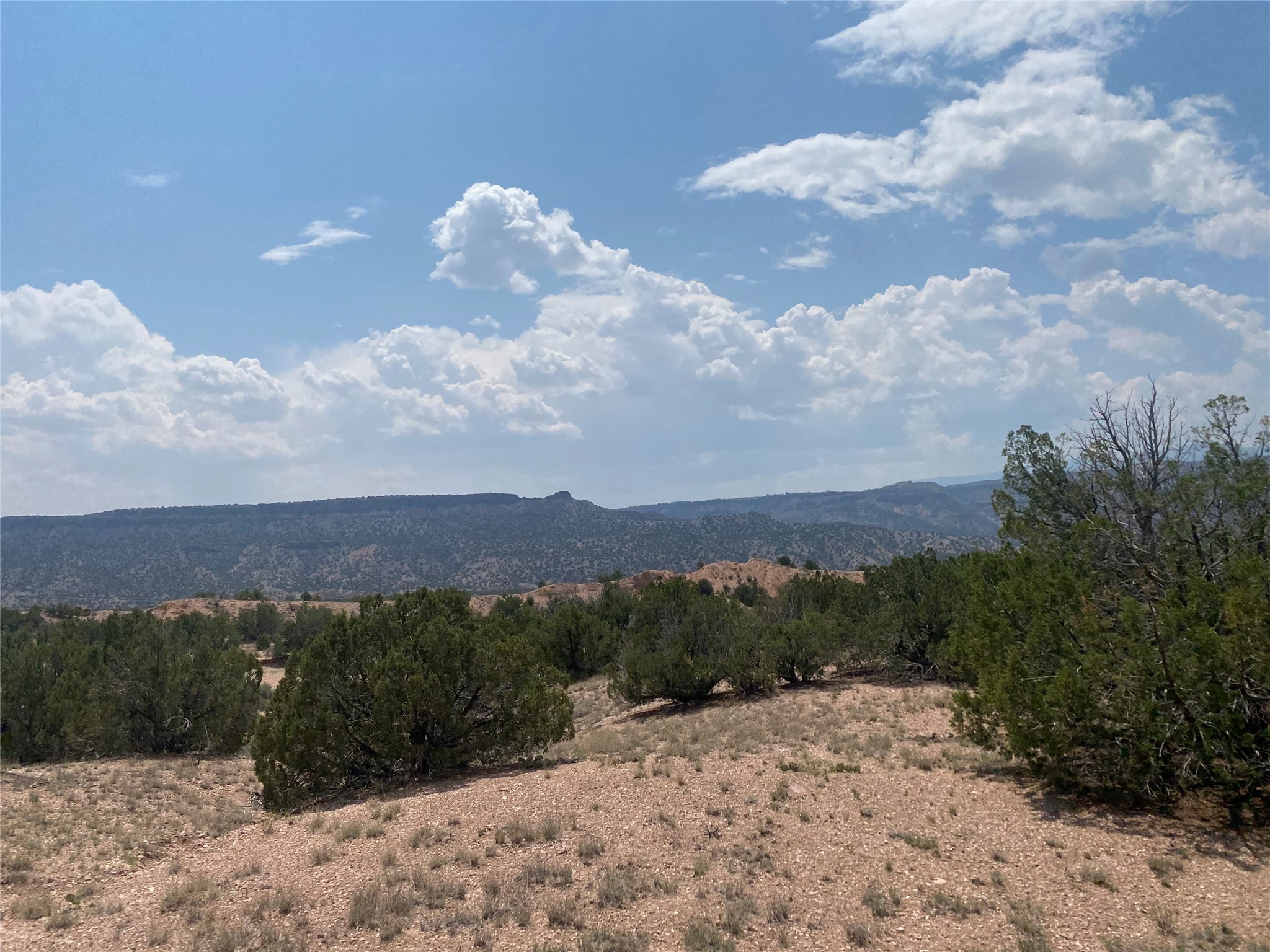 Vacant scrubland with juniper trees and a distant mountain ridge under billowing clouds.