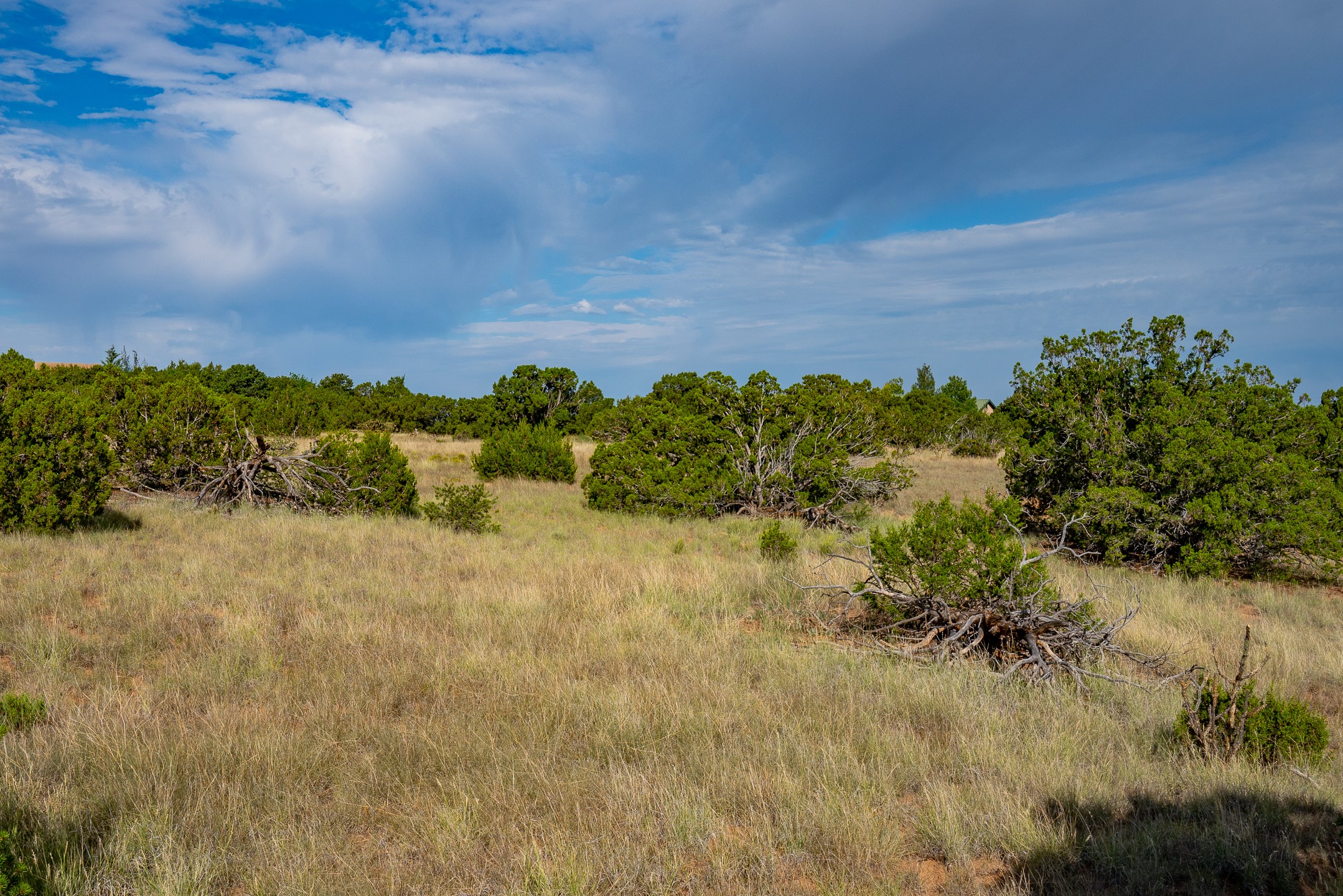 0 Old Pecos Lane N