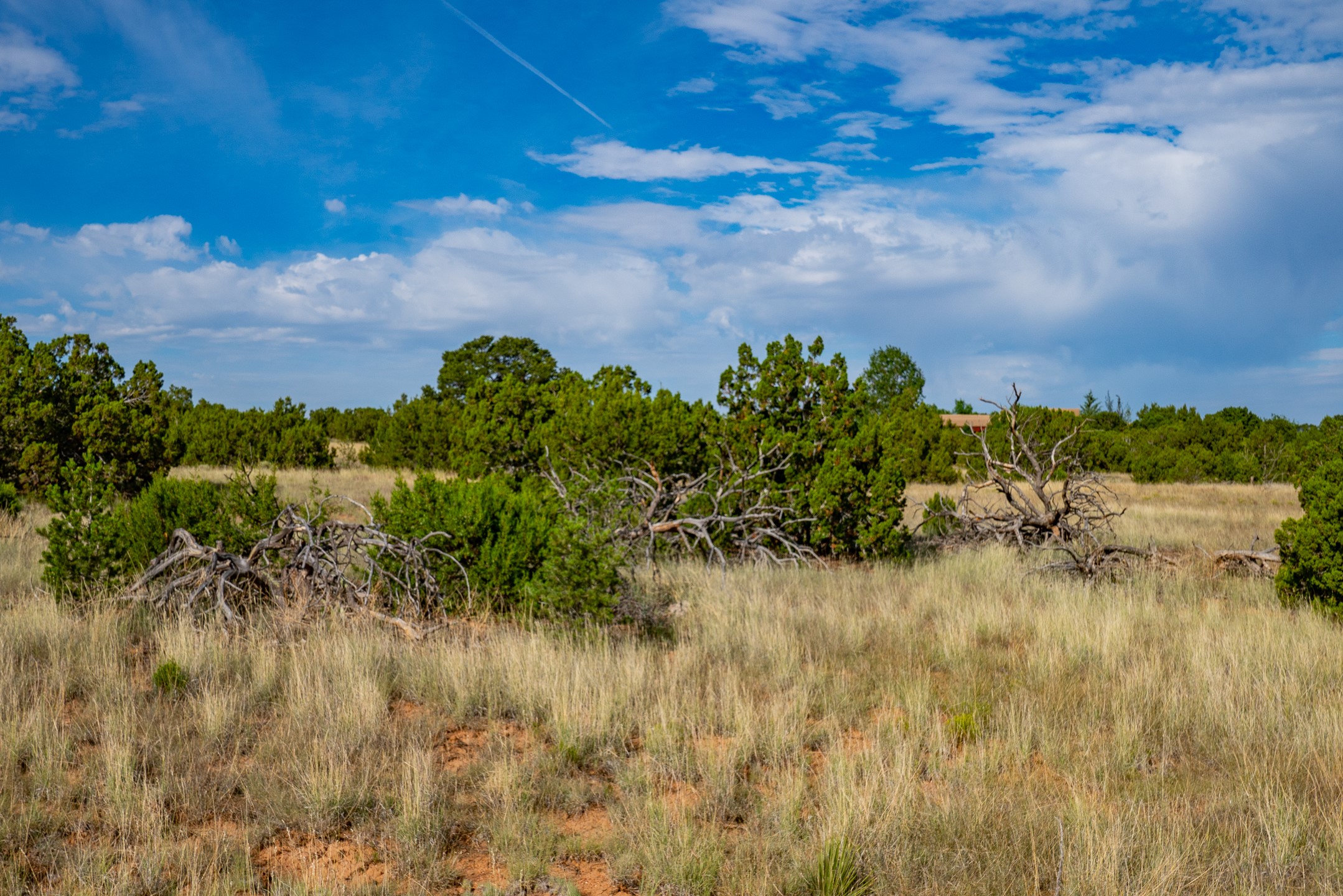 0 Old Pecos Lane N