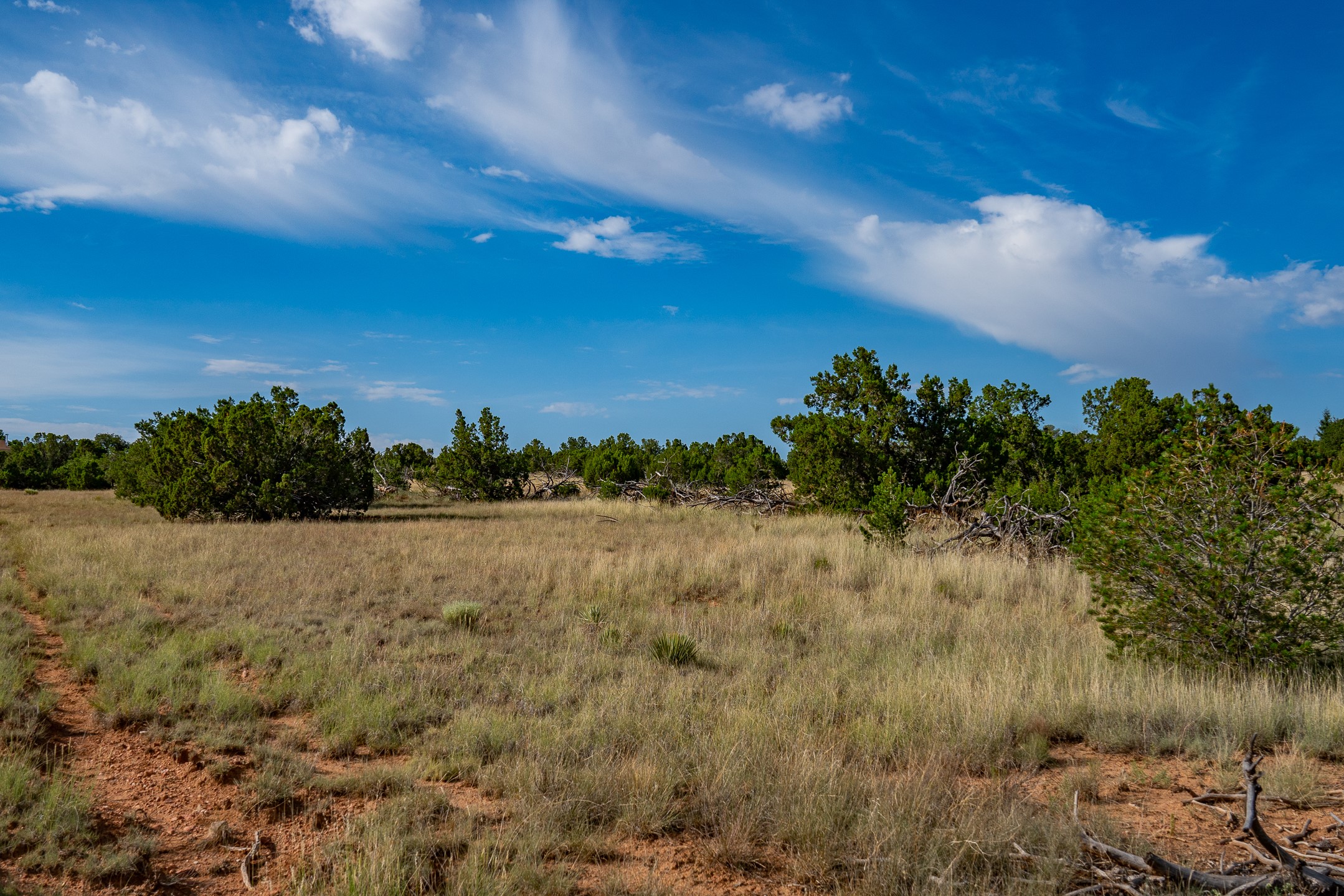 0 Old Pecos Lane S