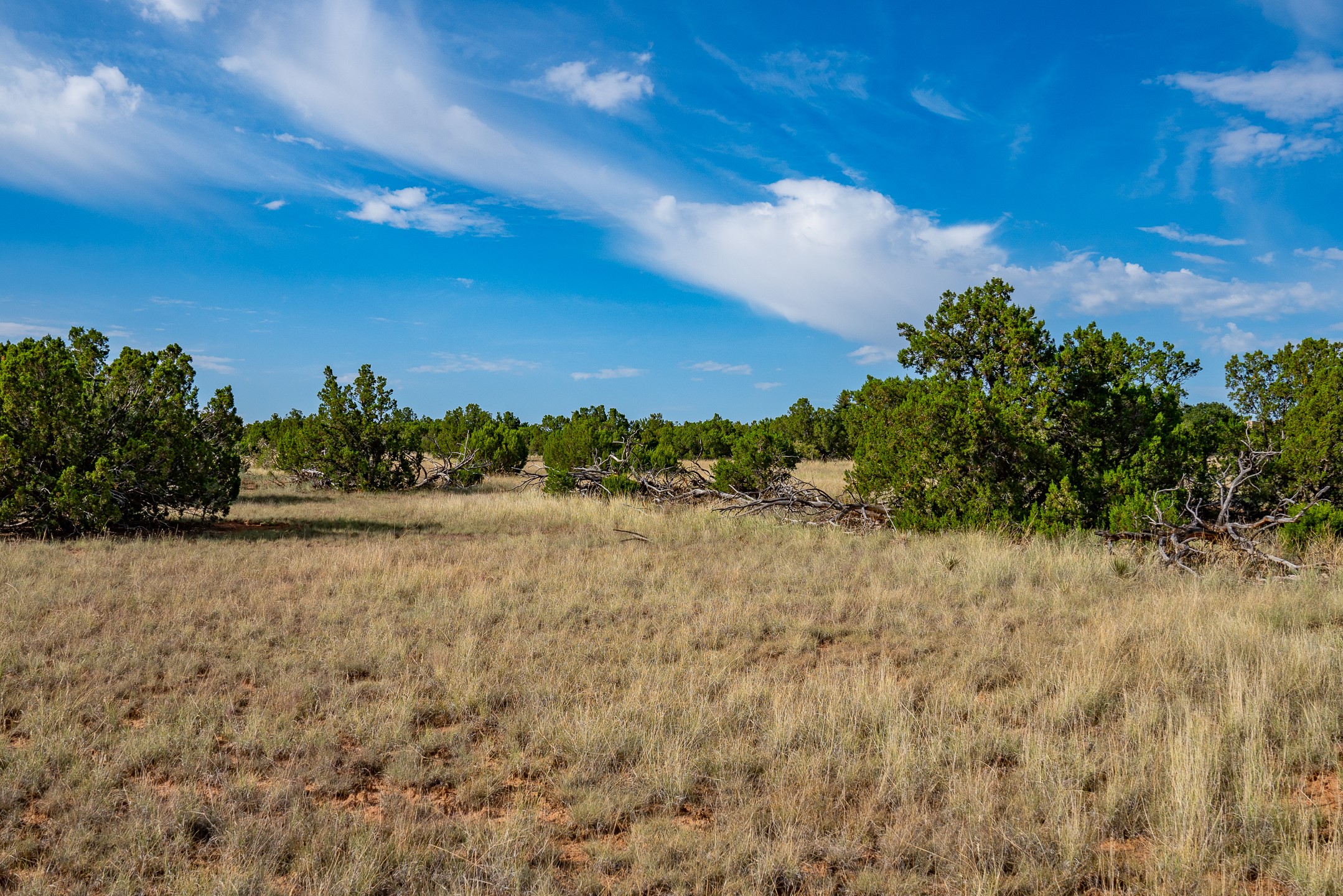 0 Old Pecos Lane S