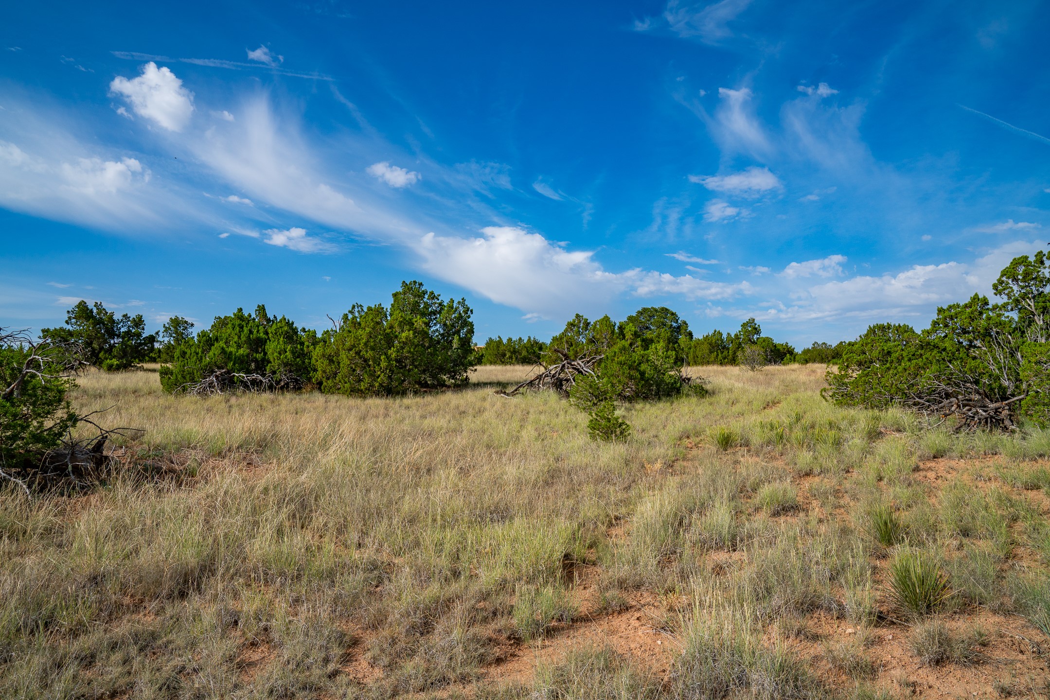 0 Old Pecos Lane S