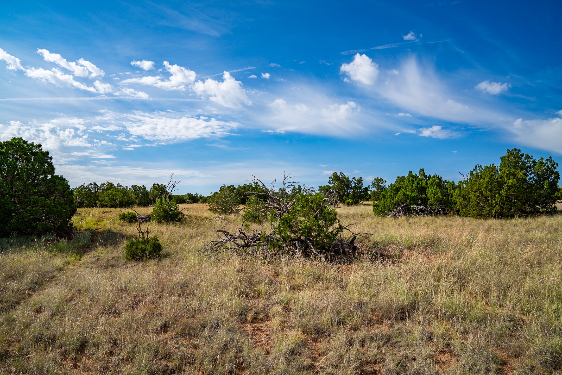 0 Old Pecos Lane S