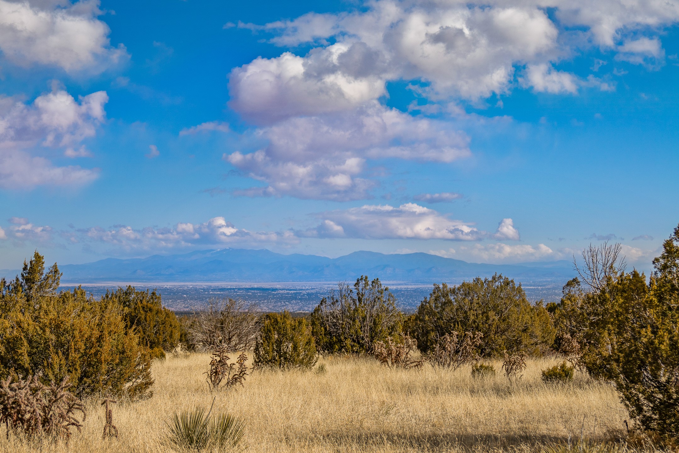 Mountain and valley vista beyond dry grass and juniper shrubs.
