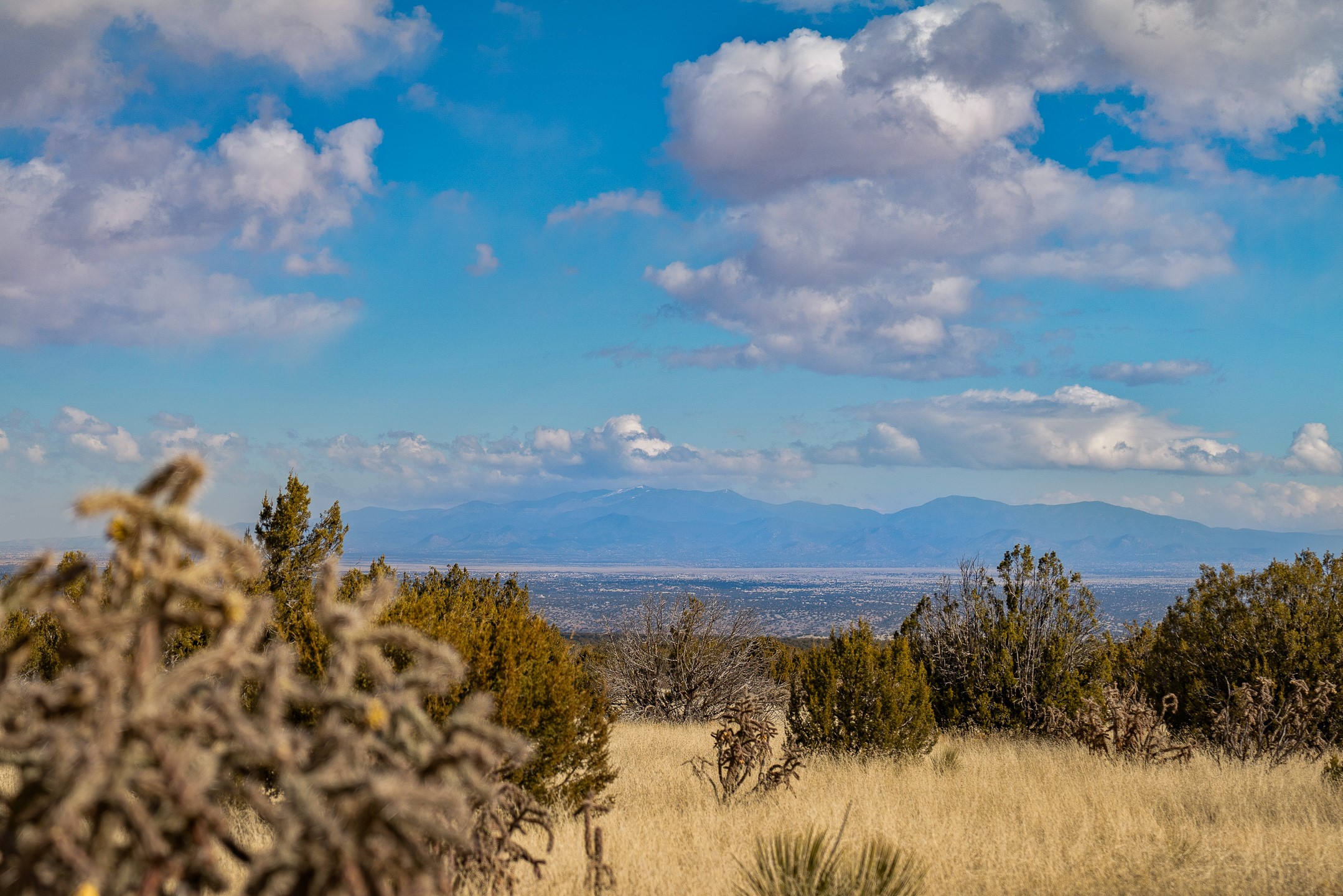 Open grassland with juniper trees overlooks a wide valley and distant mountain range.